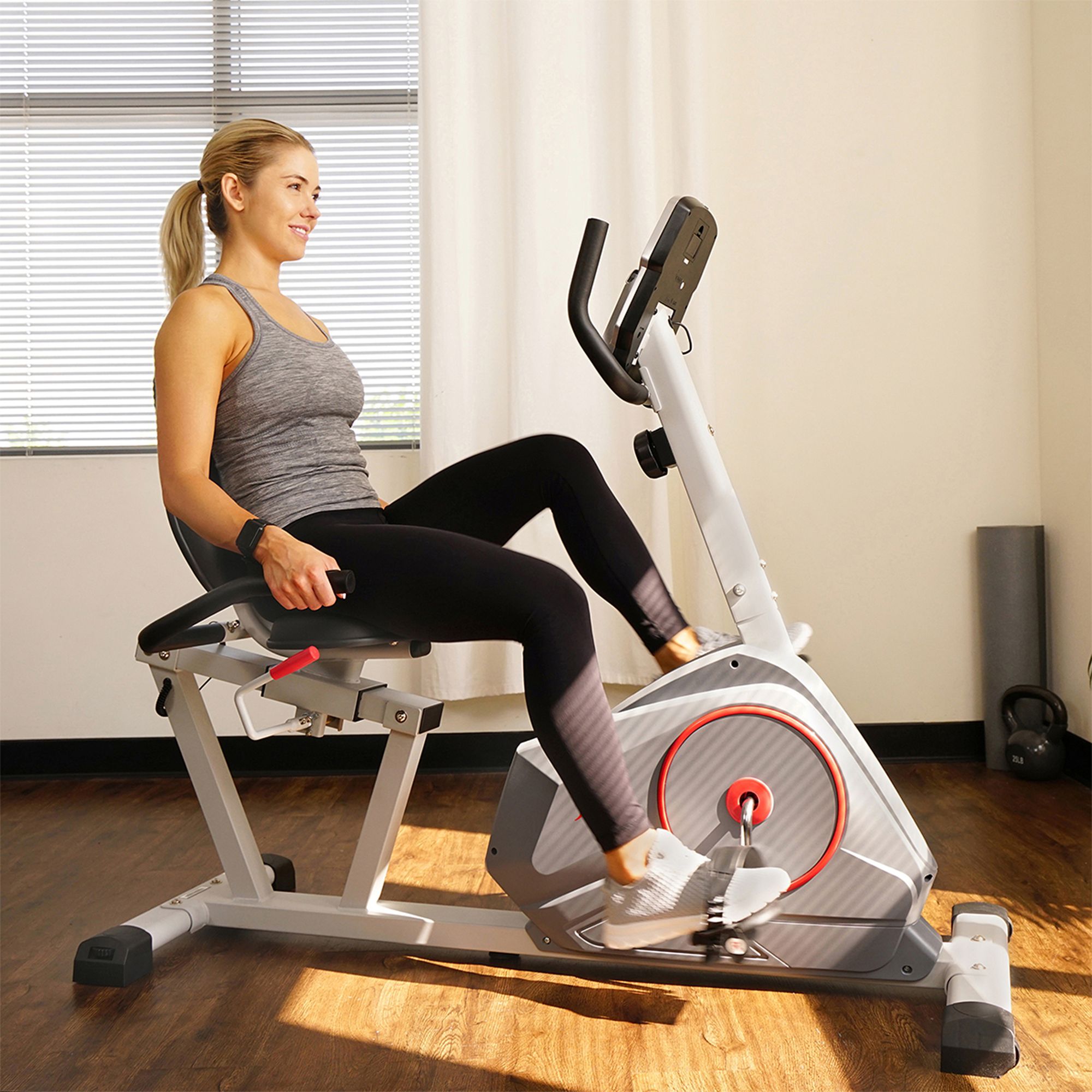 Sunny Health & Fitness Magnetic Recumbent Bike product image