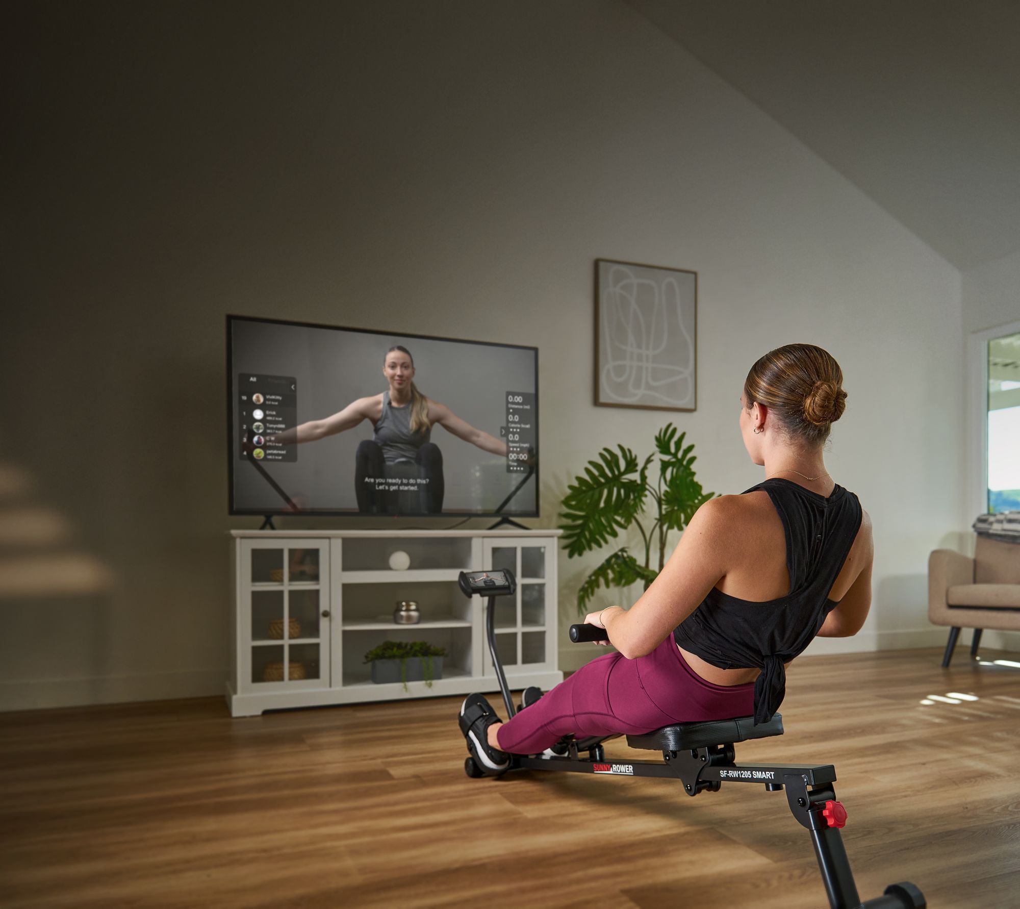 Sunny Health & Fitness Smart Compact Adjustable Hydraulic Rowing Machine product image