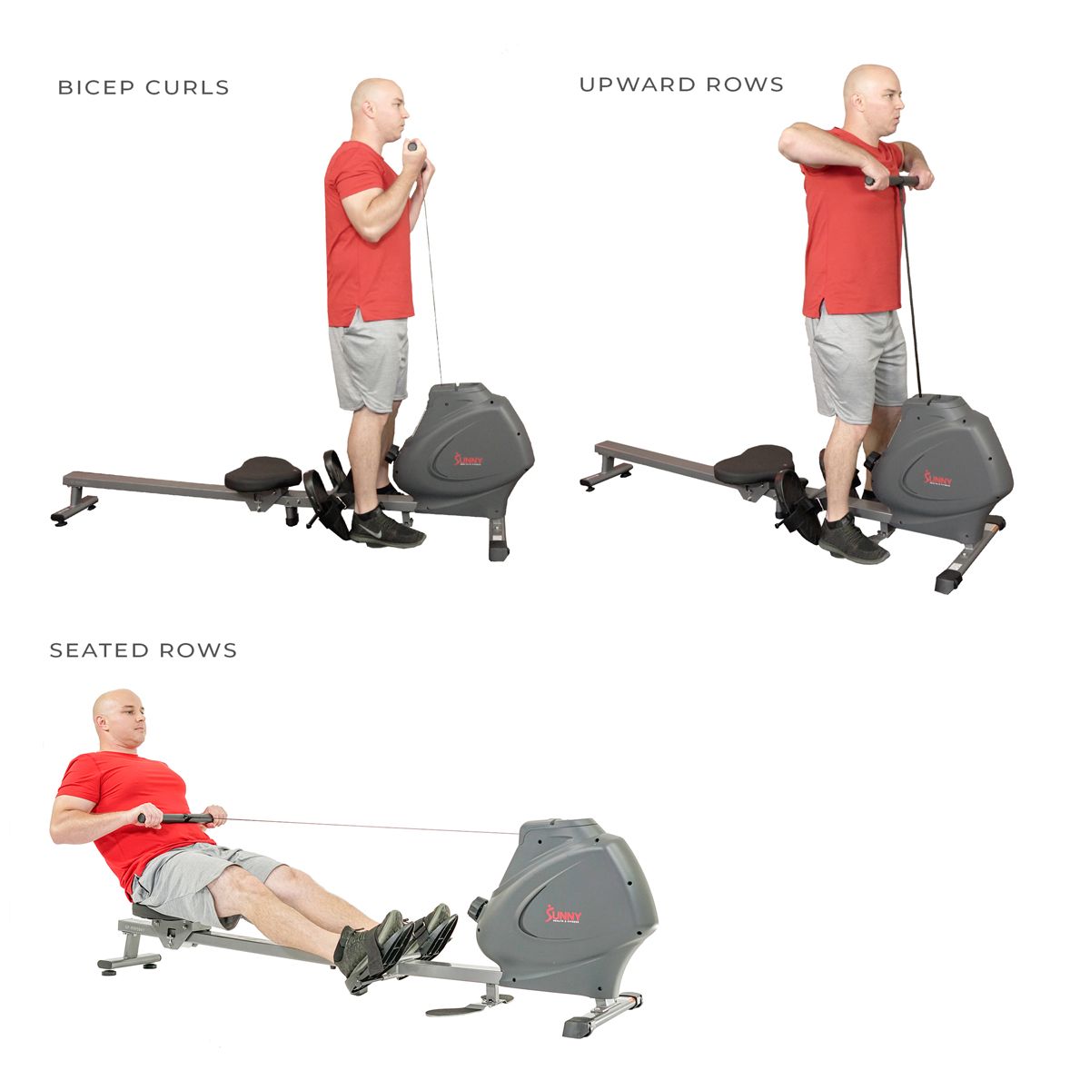 Sunny Health & Fitness SPM Magnetic Rowing Machine product image