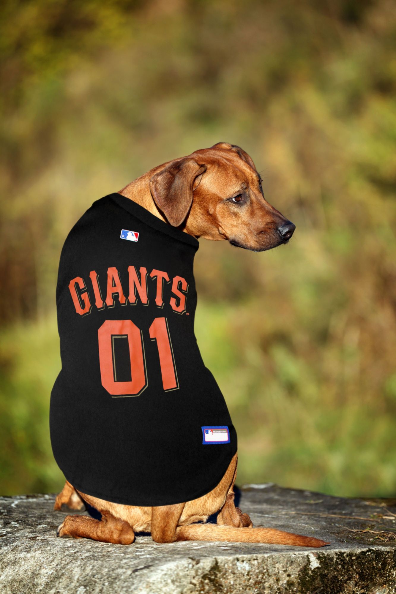 Pets First MLB San Francisco Giants Pet Jersey product image