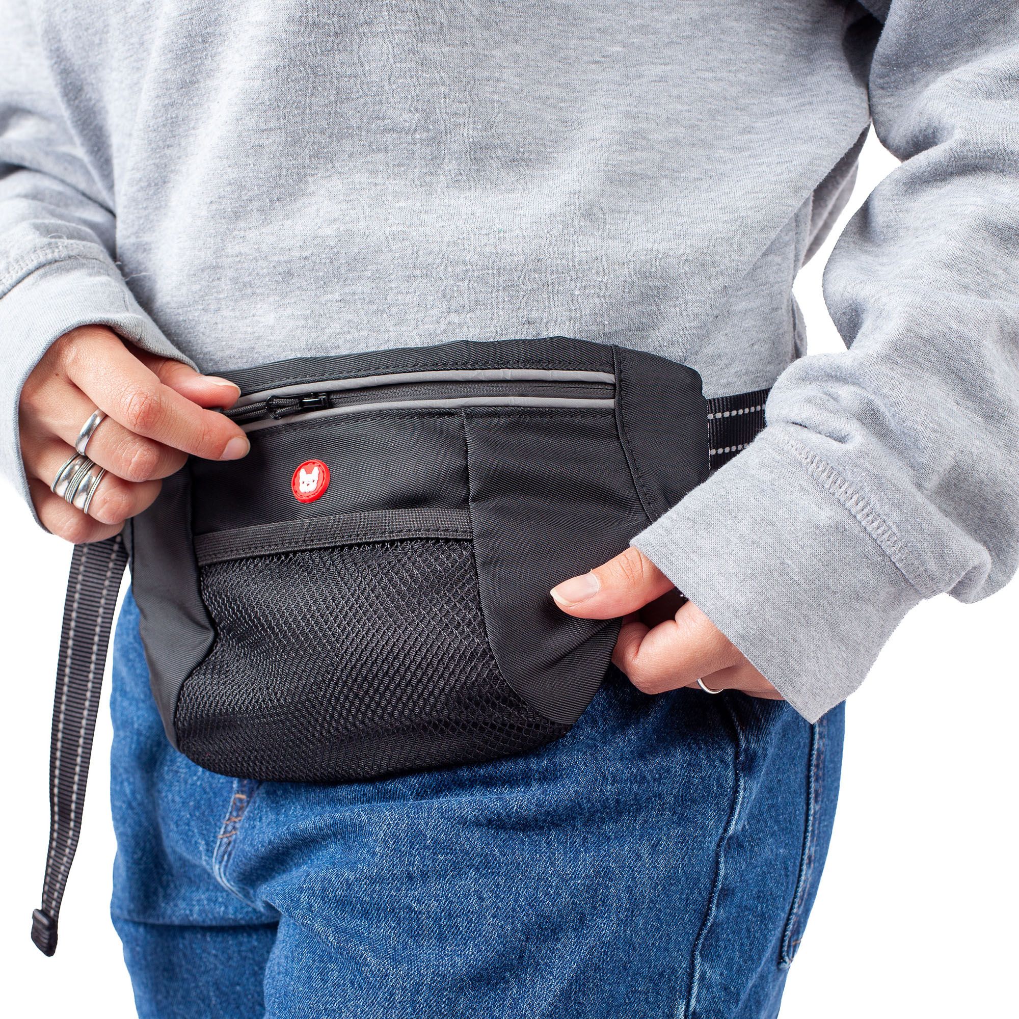 Silver Paw 5-in-1 Hand-Free Crossbody Walking Bag product image