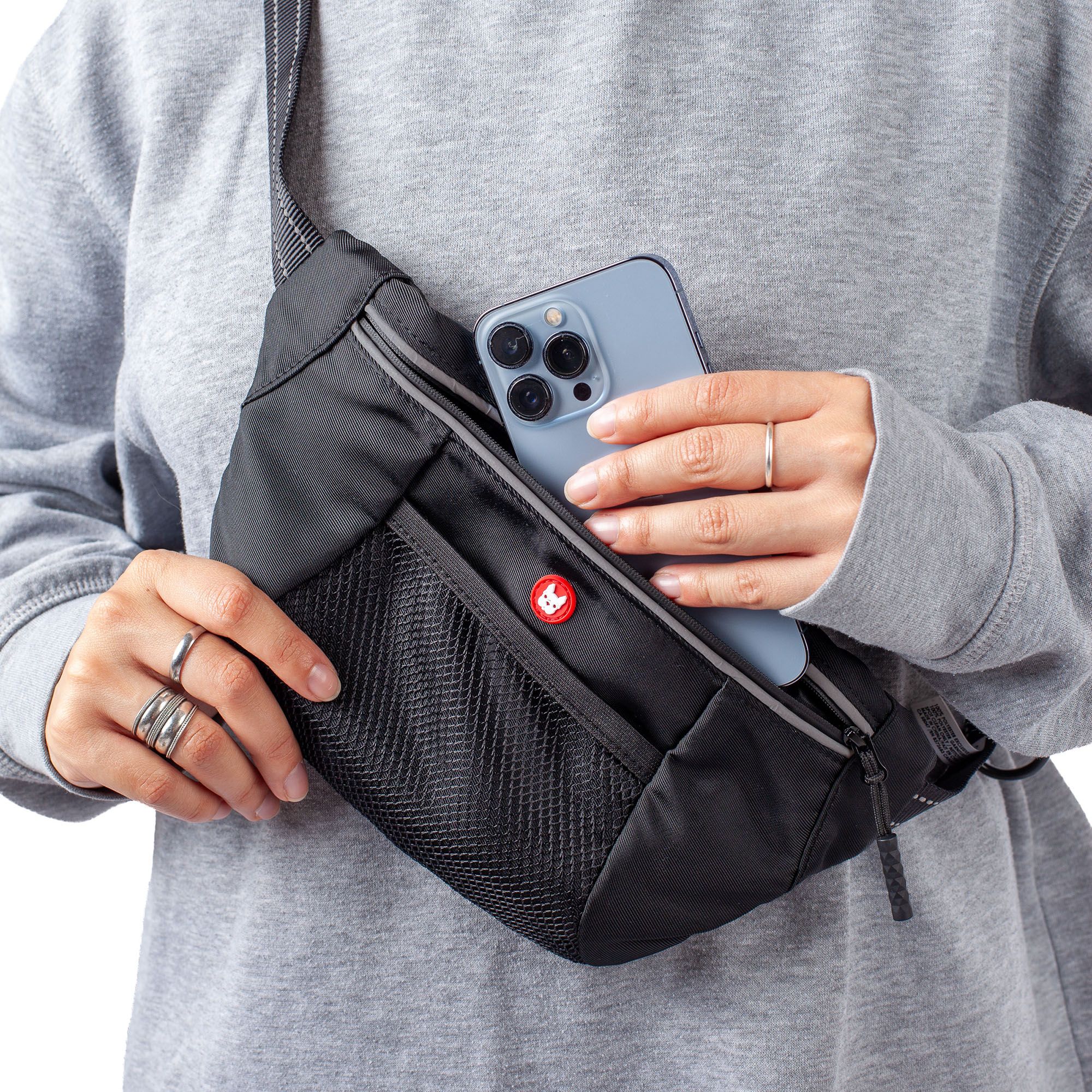 Silver Paw 5-in-1 Hand-Free Crossbody Walking Bag product image