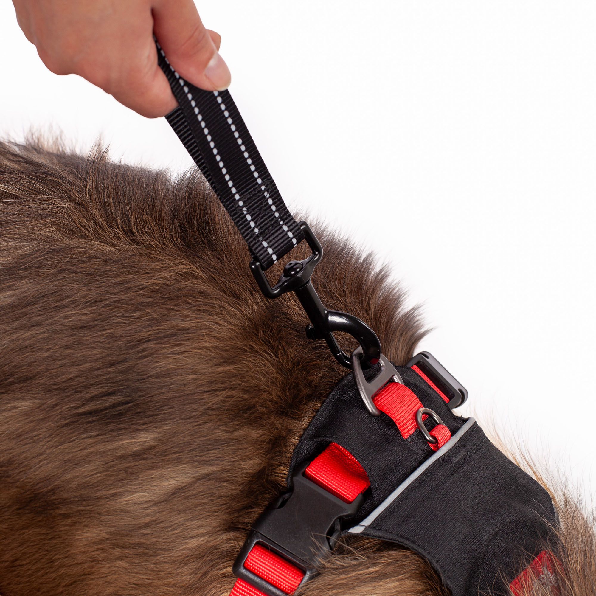 Silver Paw 5-in-1 Hand-Free Crossbody Walking Bag product image