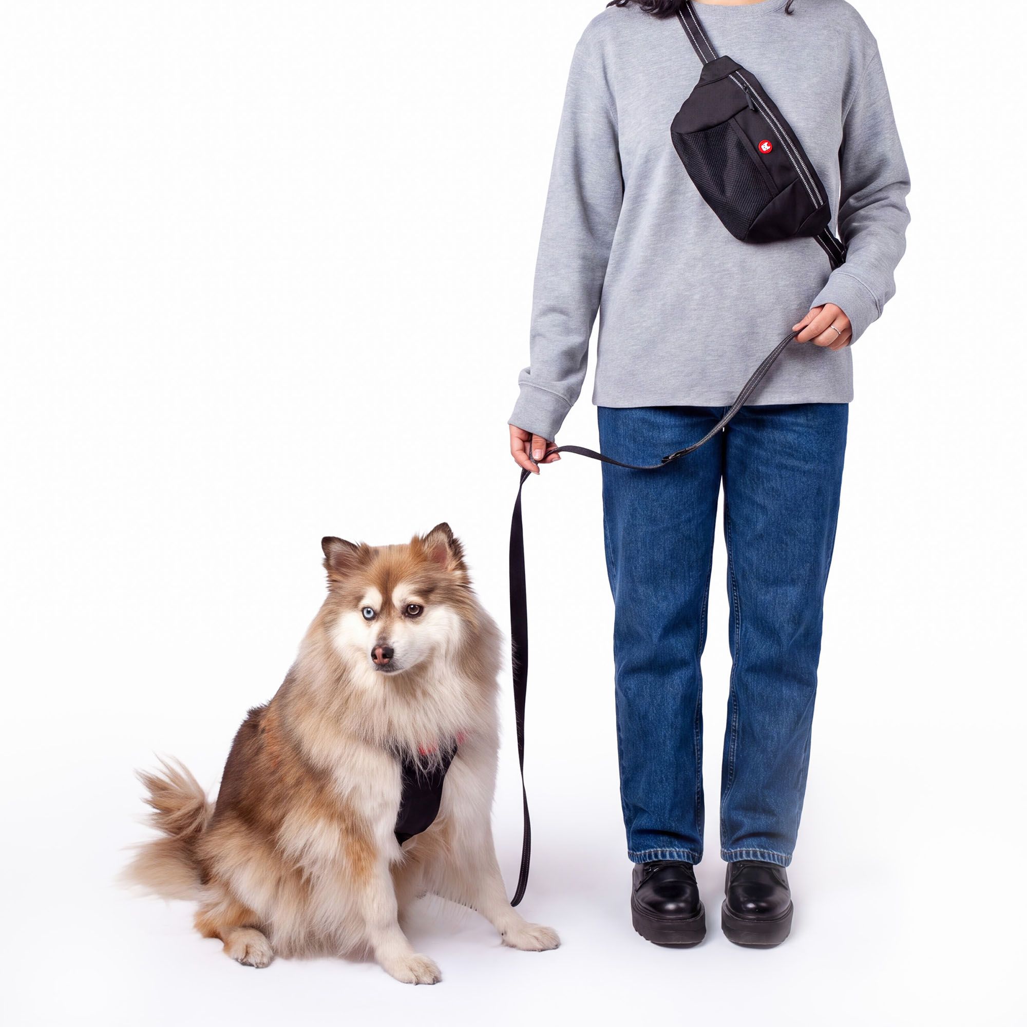 Silver Paw 5-in-1 Hand-Free Crossbody Walking Bag product image