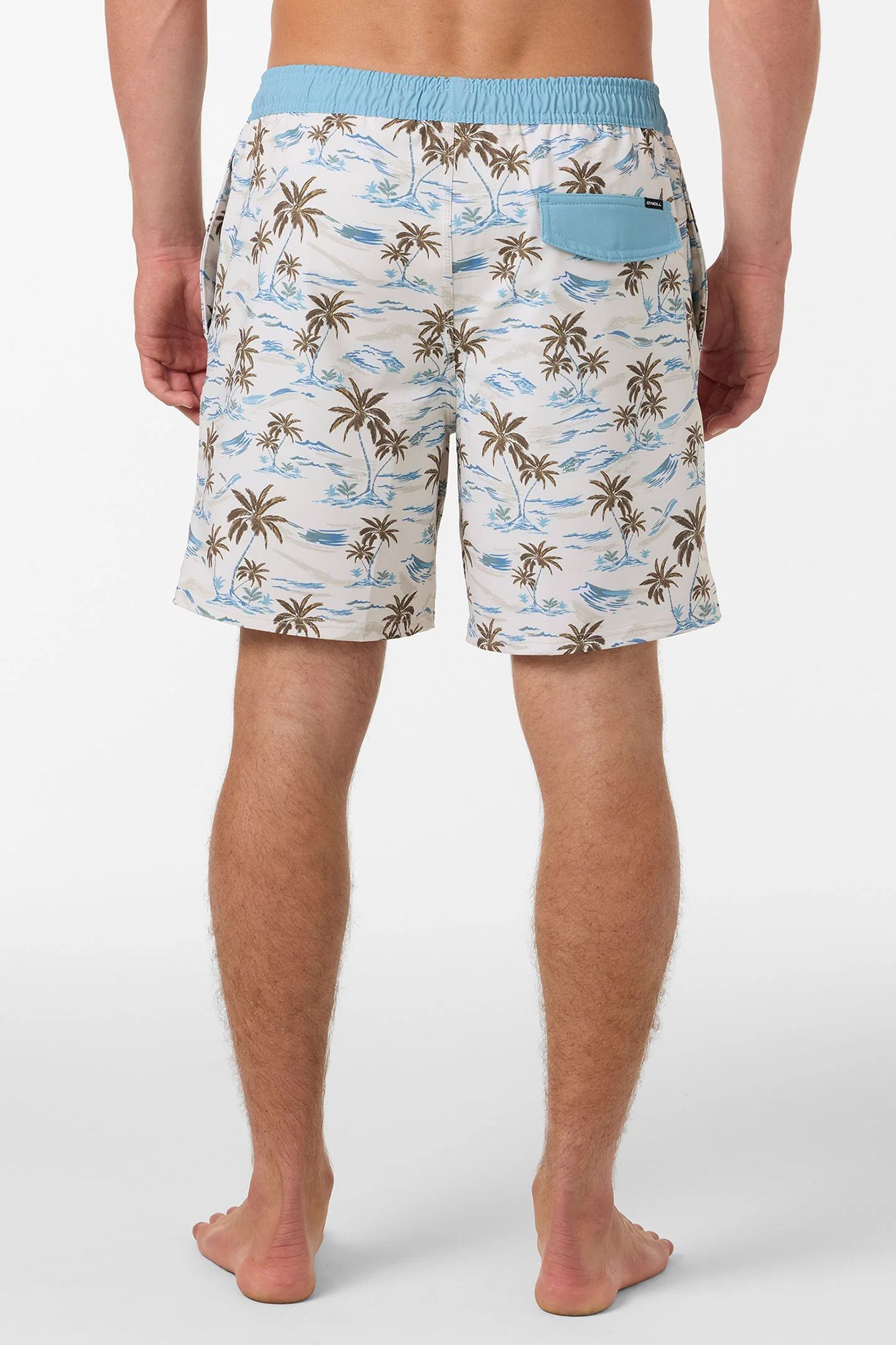 O'Neill Men's Hermosa Lined 17" Swim Trunks product image