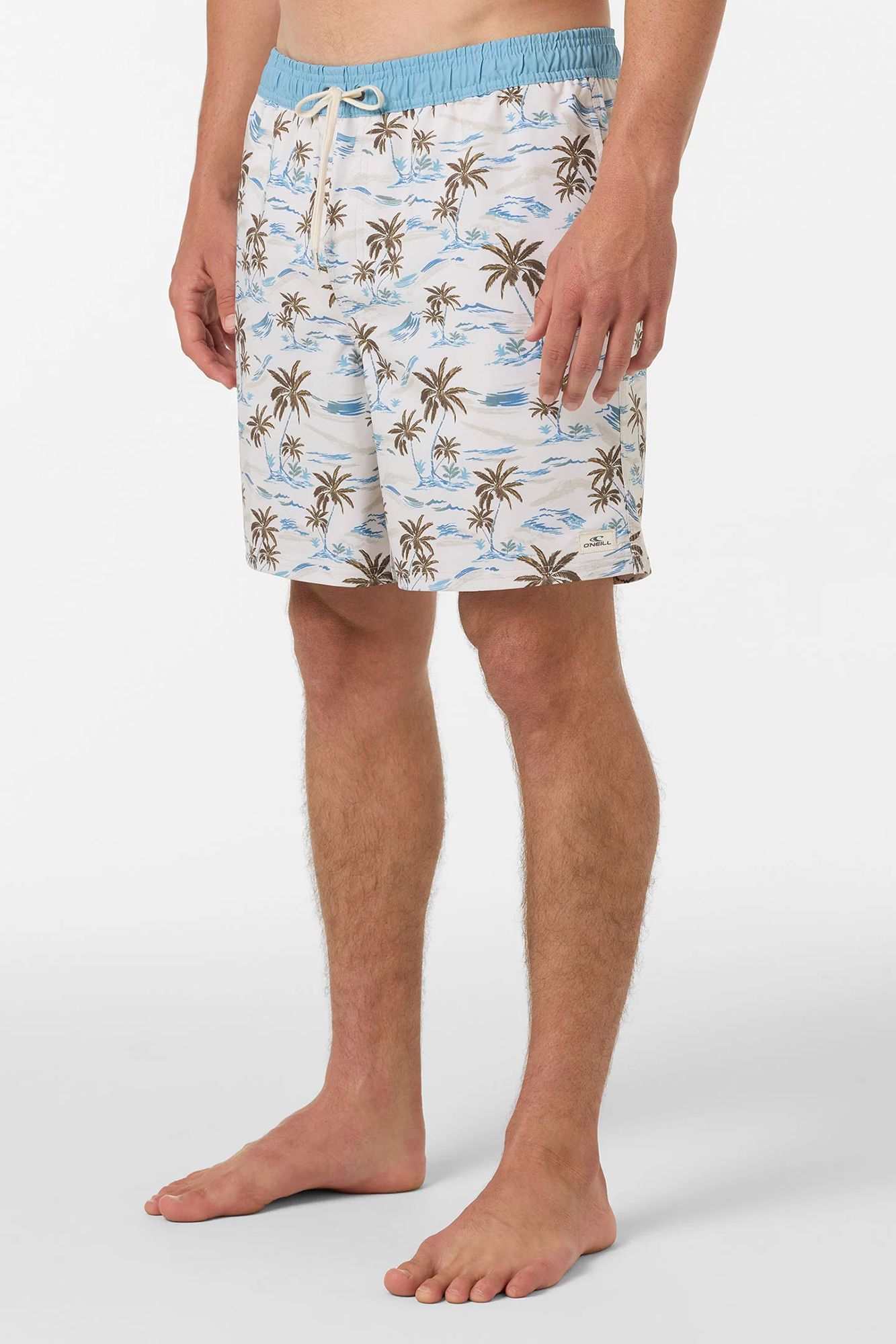 O'Neill Men's Hermosa Lined 17" Swim Trunks product image