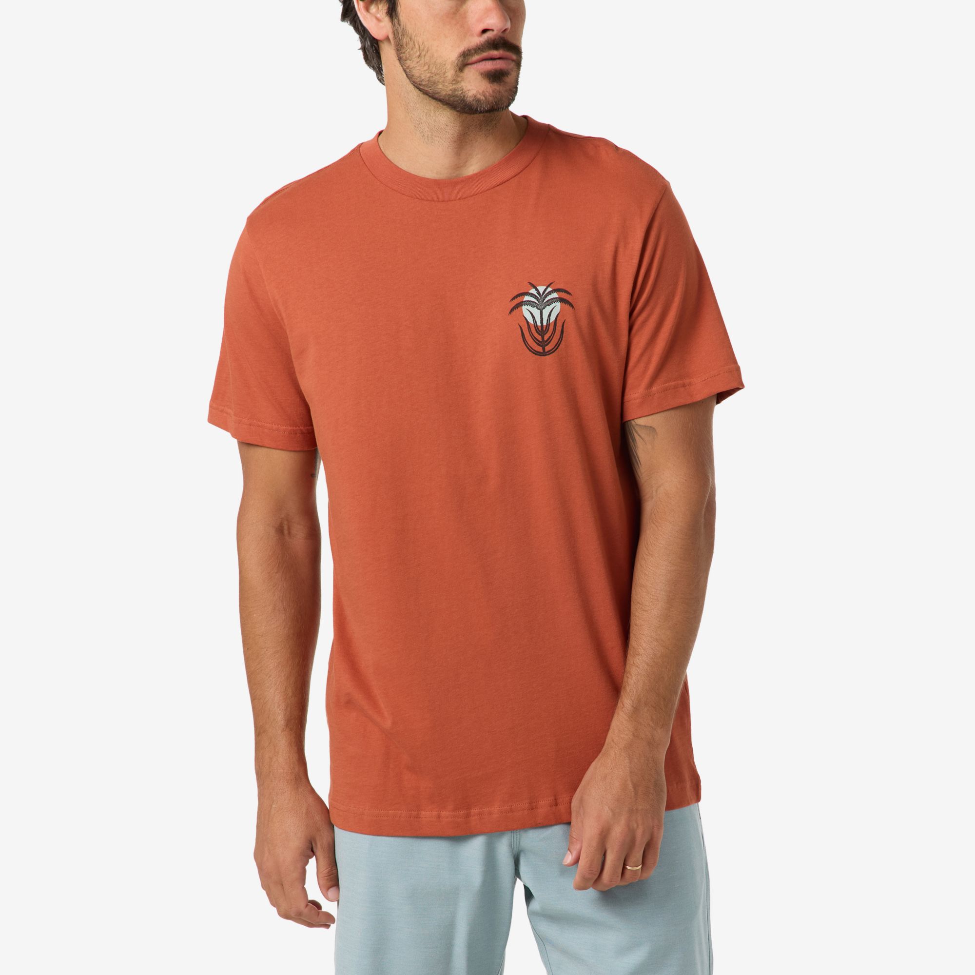 O'Neill Men's Palm Throne Classic Short Sleeve T-Shirt product image