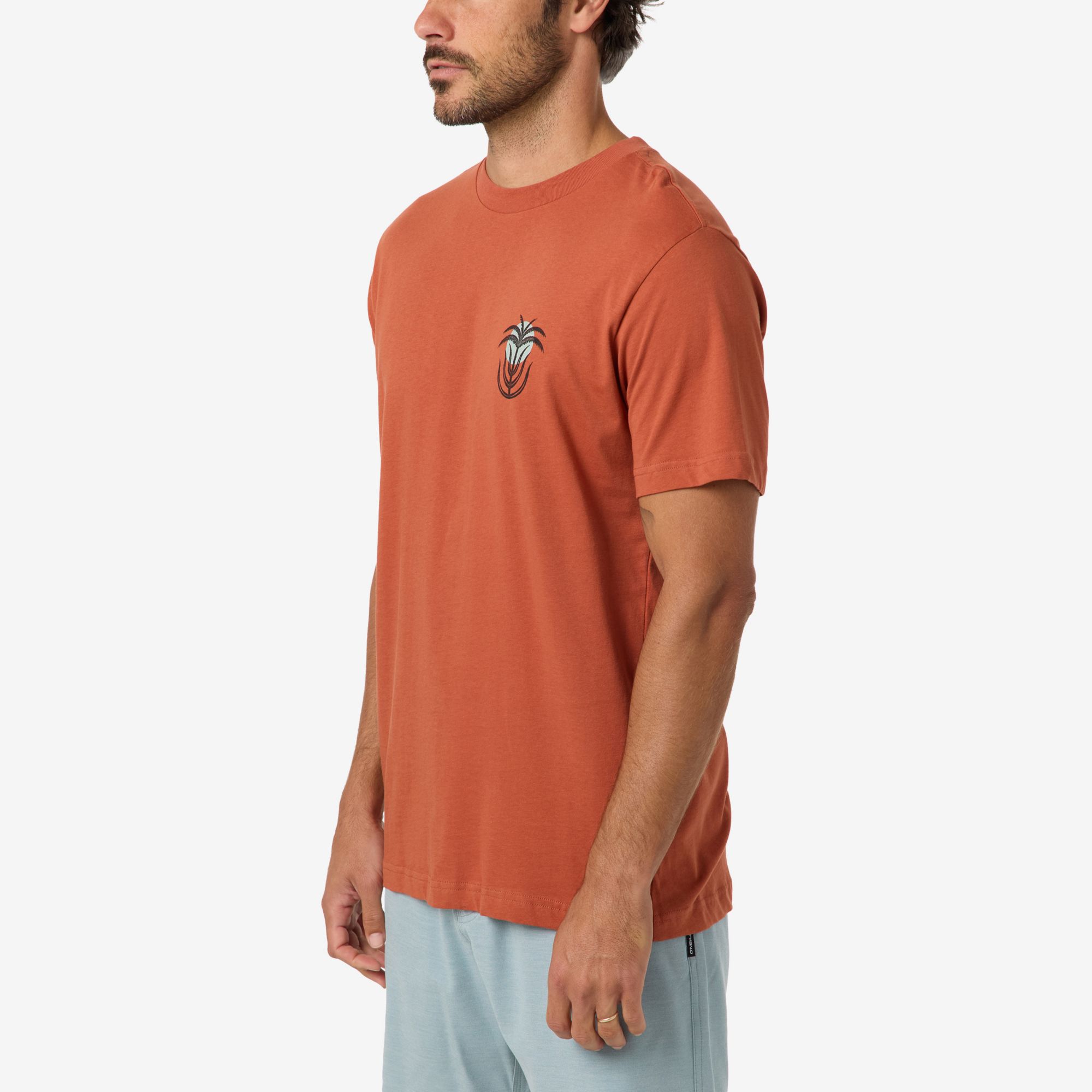 O'Neill Men's Palm Throne Classic Short Sleeve T-Shirt product image