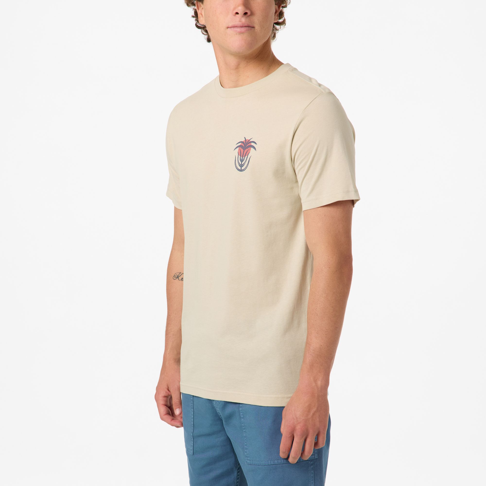 O'Neill Men's Palm Throne Classic Short Sleeve T-Shirt product image