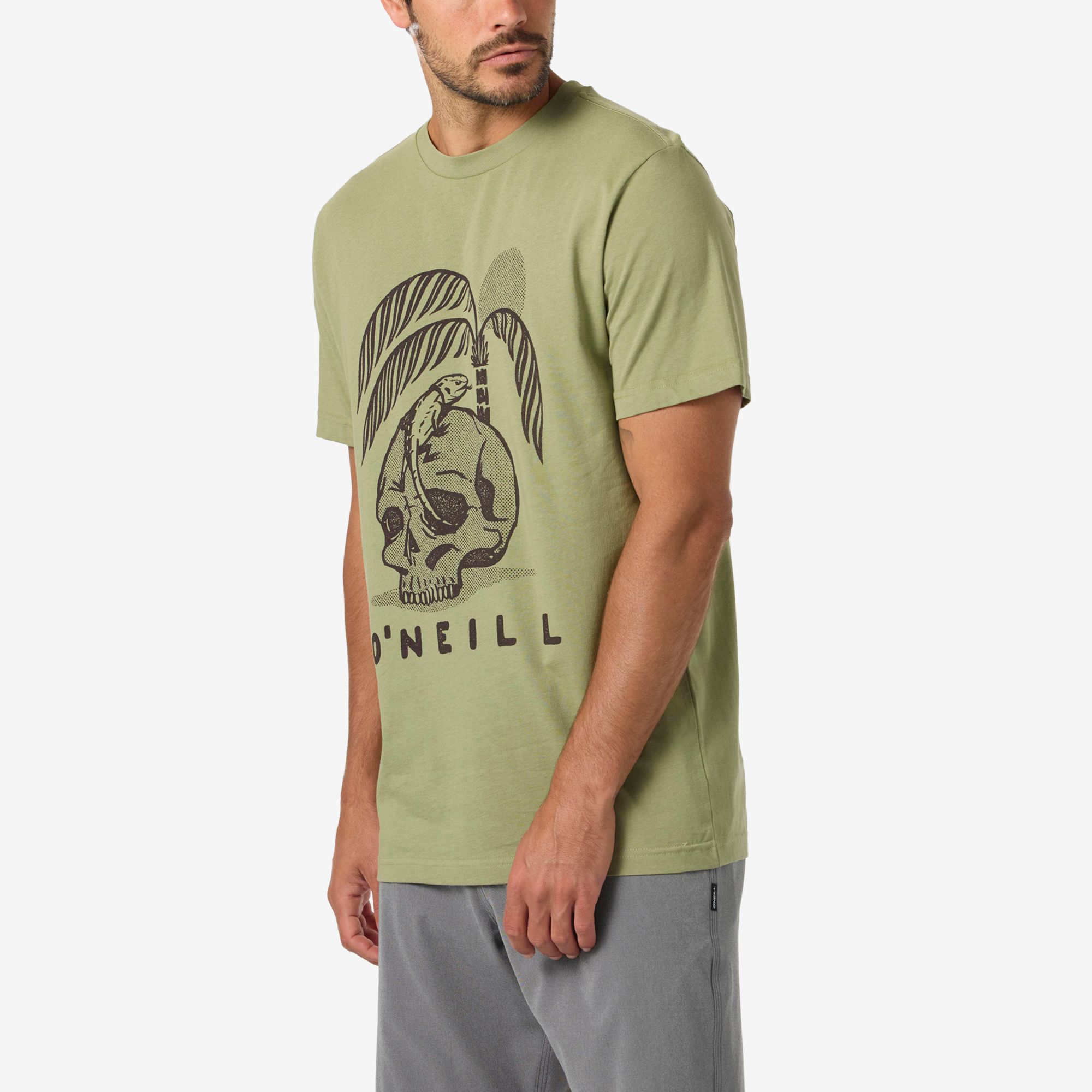 O'Neill Men's Skulliosis Classic Short Sleeve T-Shirt product image
