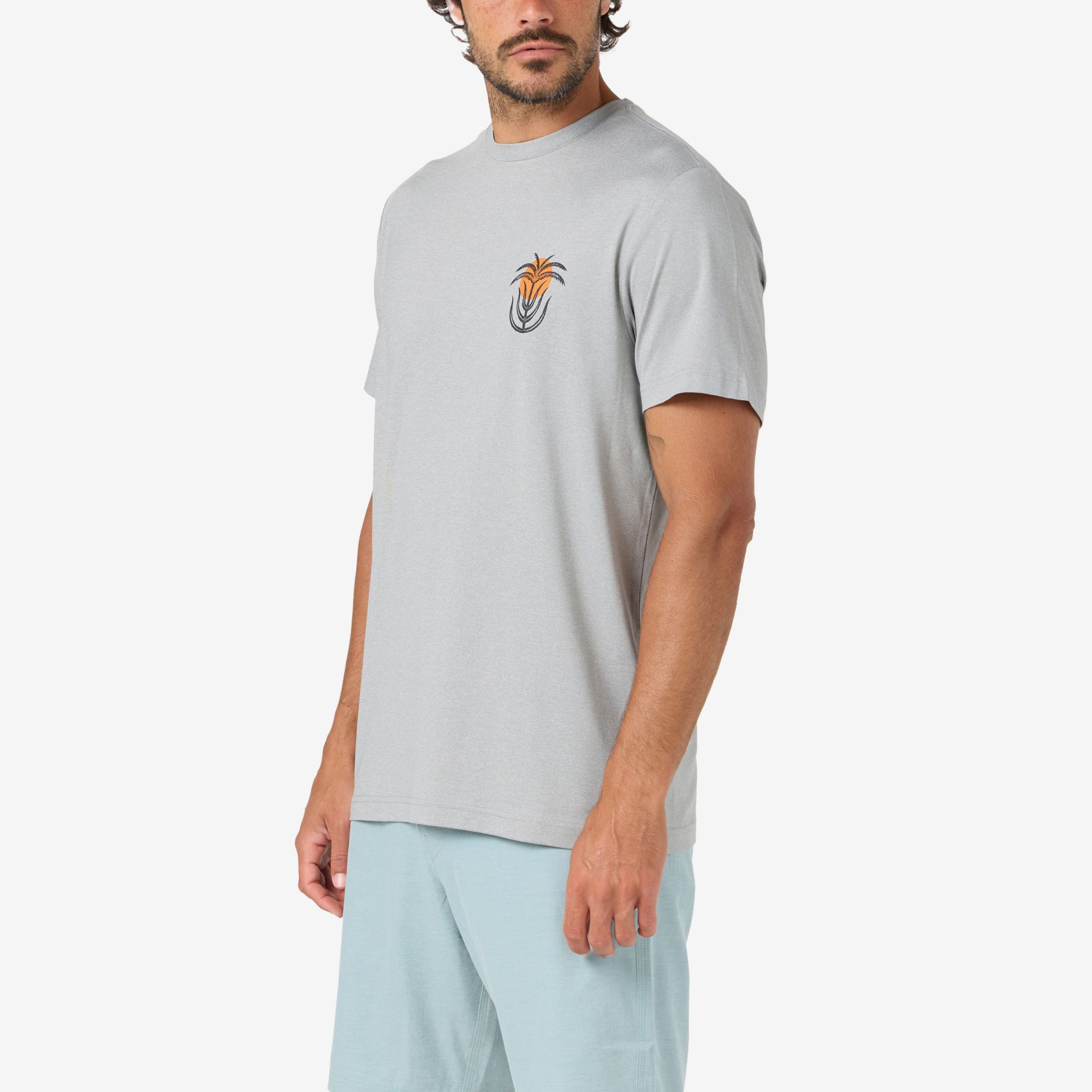 O'Neill Men's Palm Throne UPF Short Sleeve T-Shirt product image
