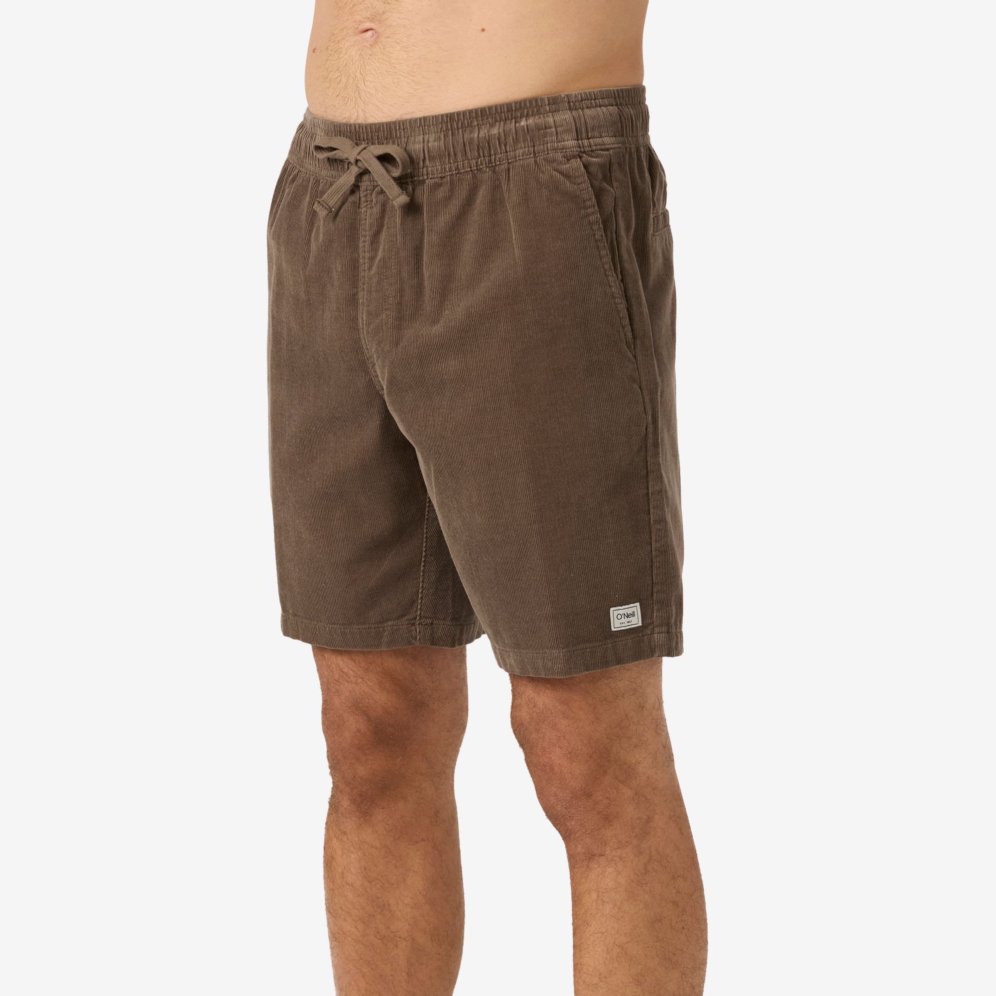O'Neill Men's OG Cord Shorts product image