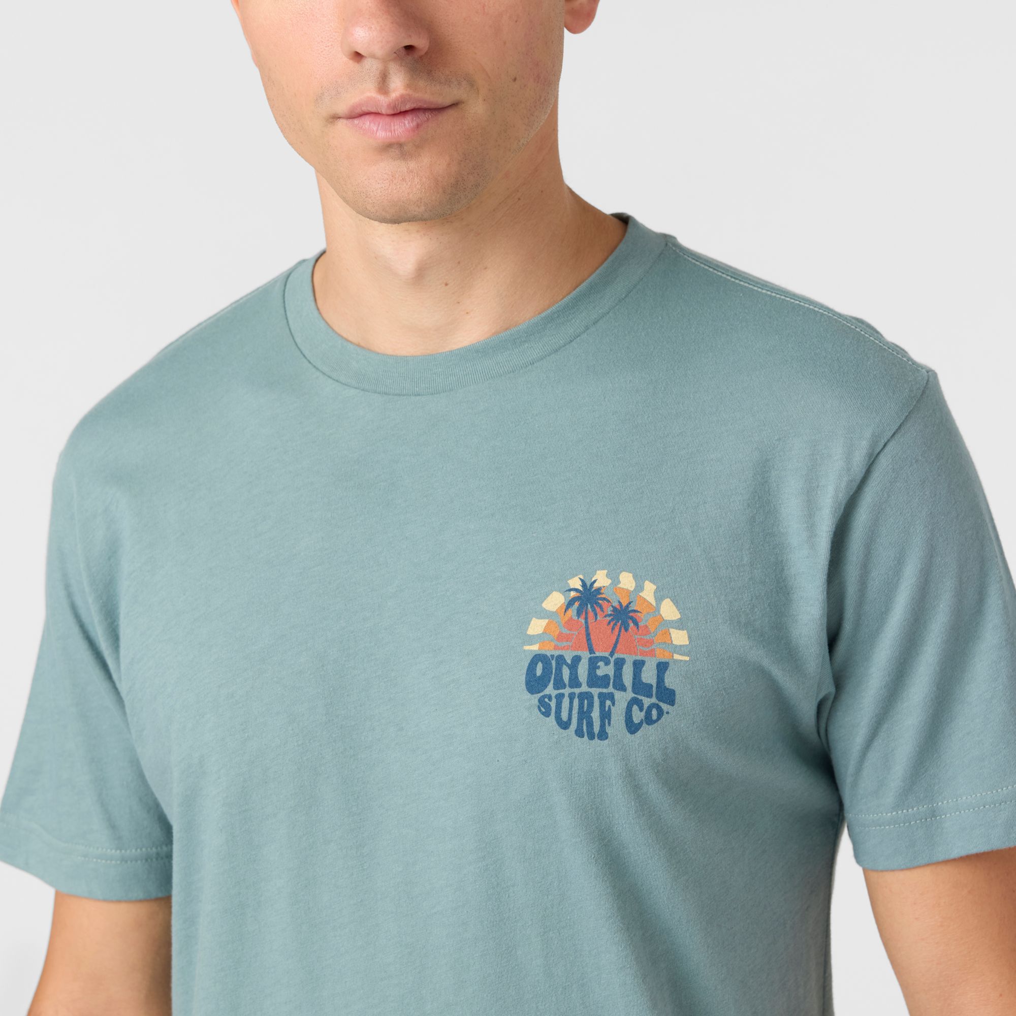 O'Neill Men's Shaved Ice Short Sleeve T-Shirt product image