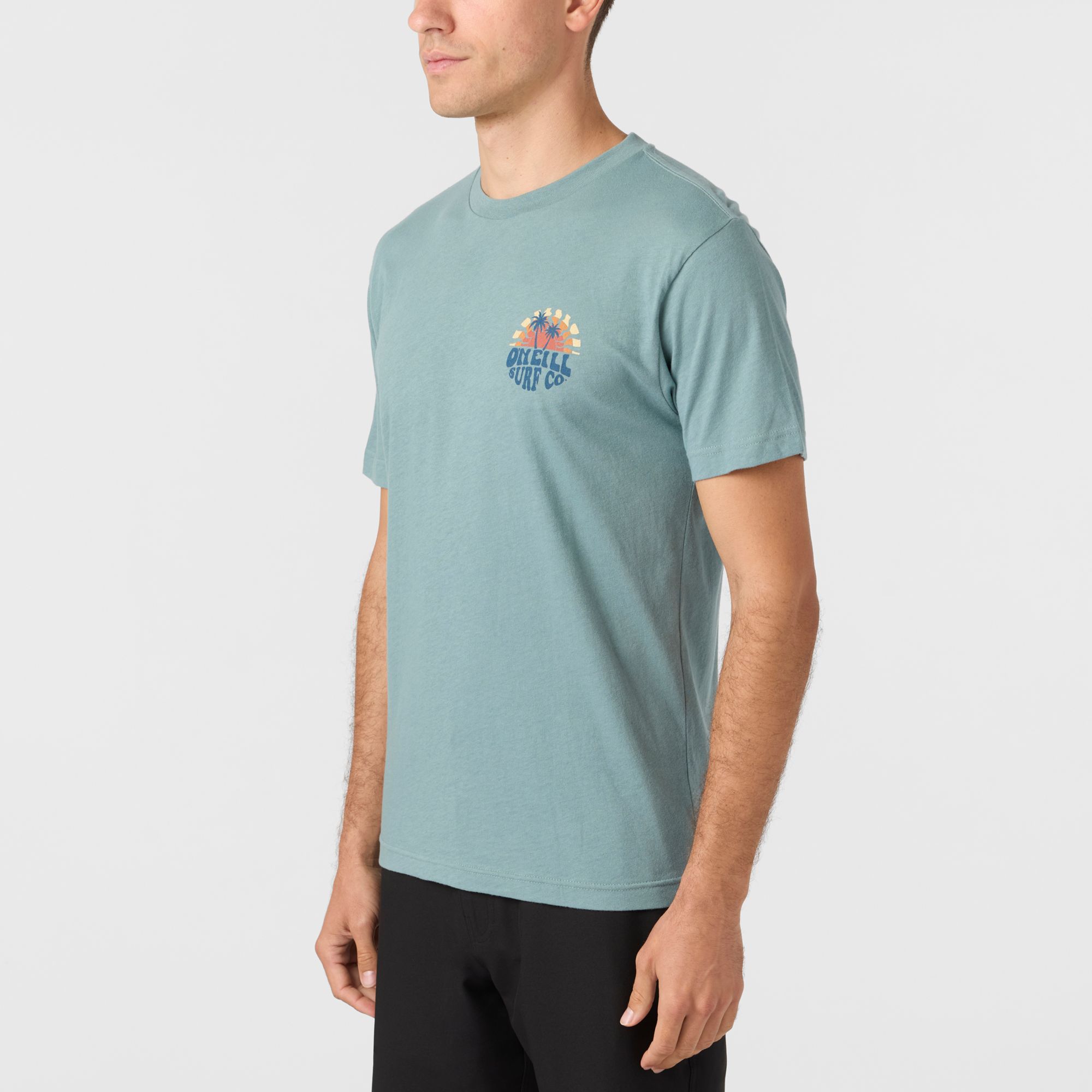 O'Neill Men's Shaved Ice Short Sleeve T-Shirt product image