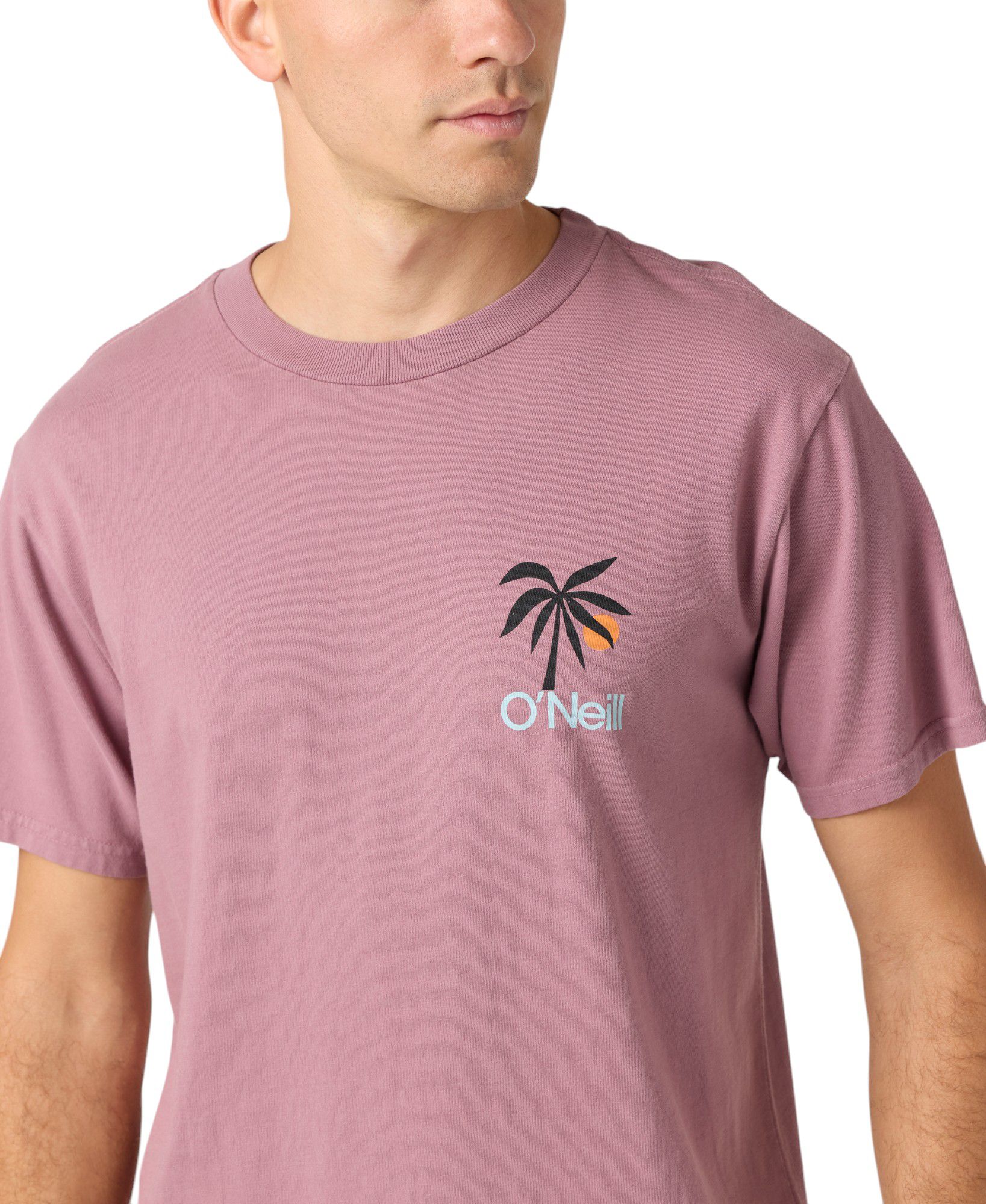 O'Neill Men's OG Dusk Short Sleeve Graphic T-Shirt product image