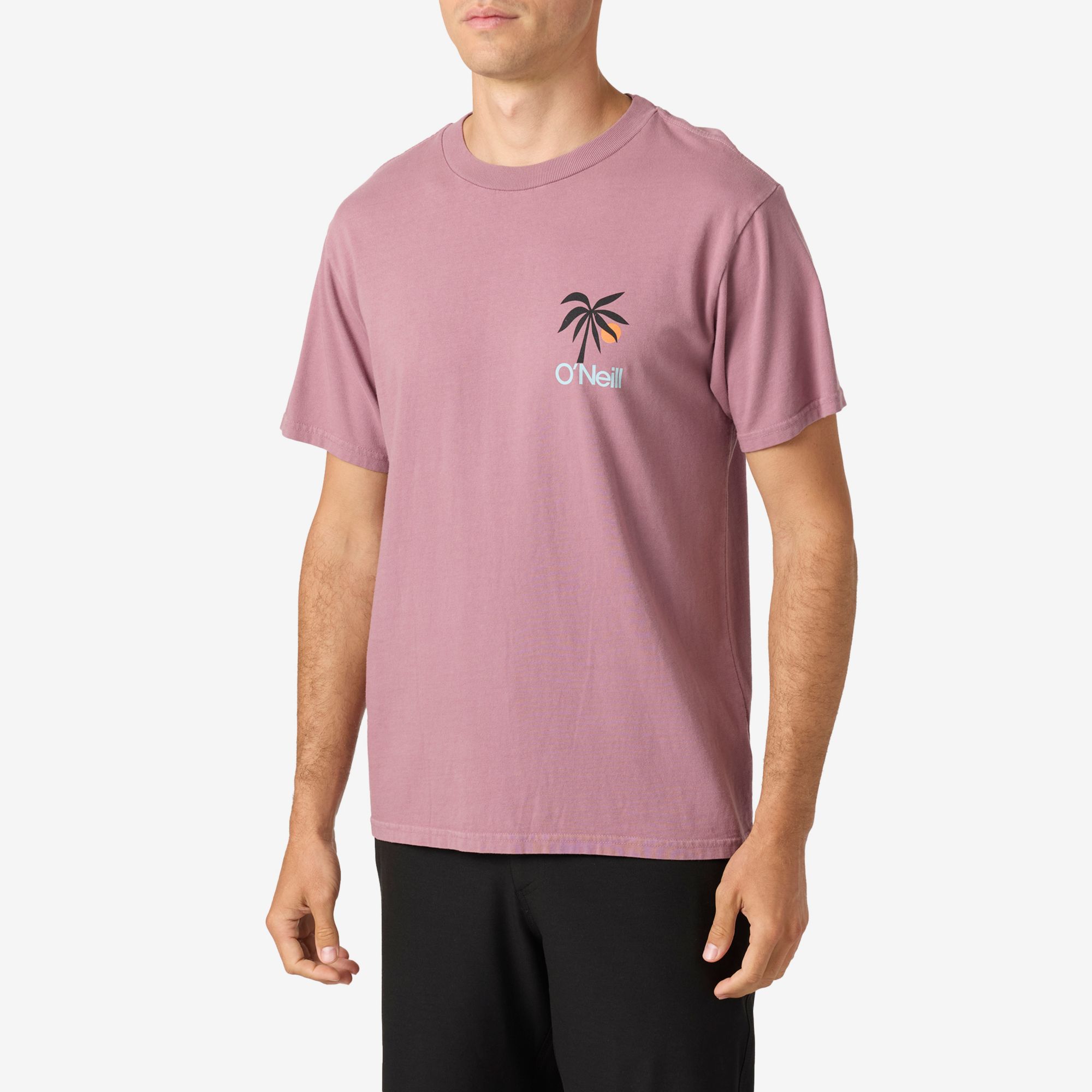 O'Neill Men's OG Dusk Short Sleeve Graphic T-Shirt product image