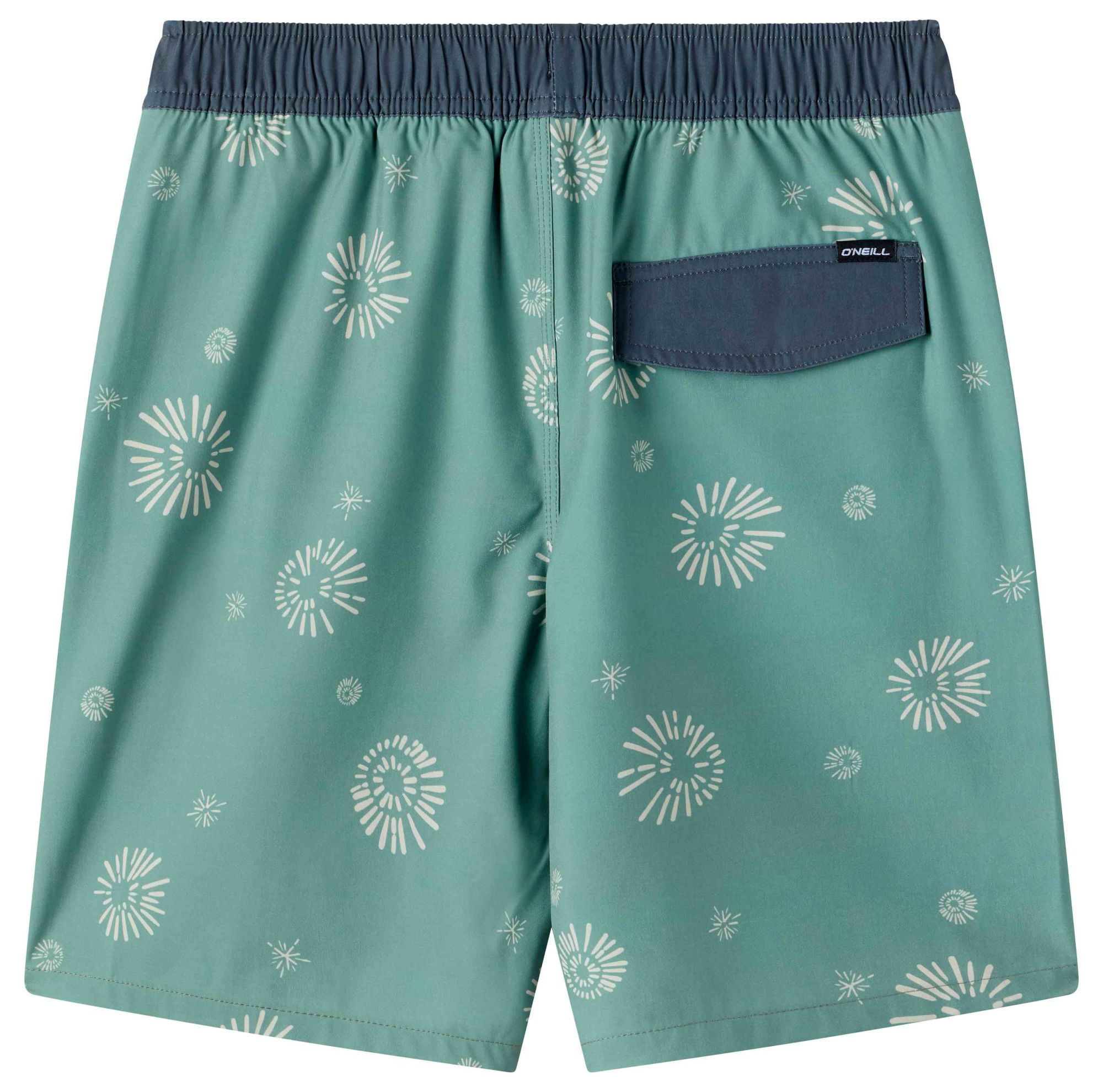 O'Neill Boys' Hermosa Elastic Waist Lined 16" Swim Trunks product image