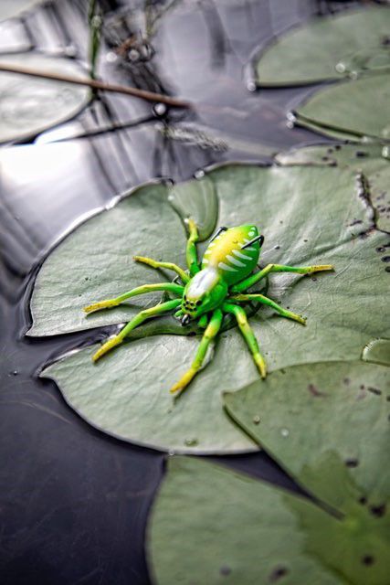 lunkerhunt phantom spider