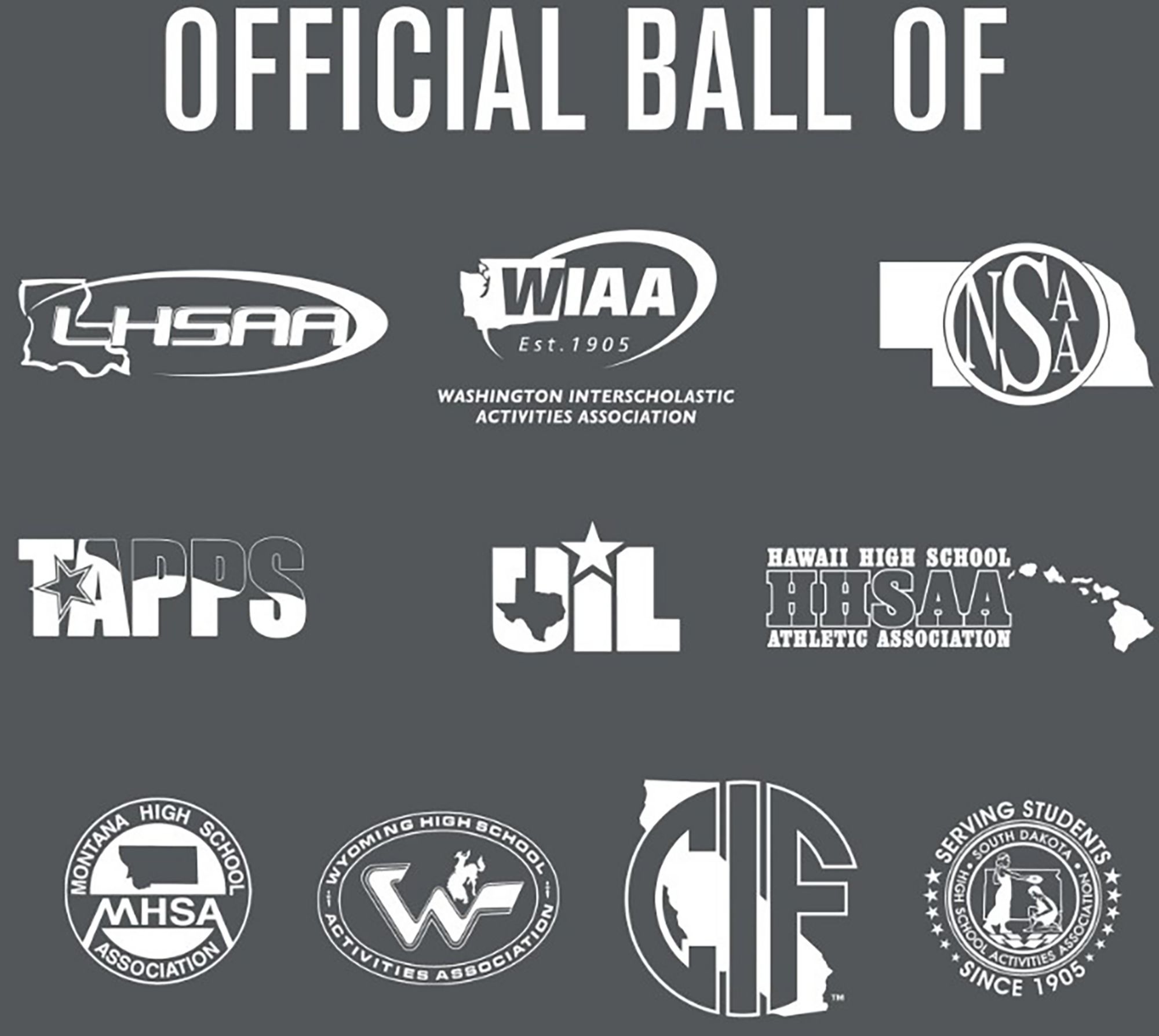 Baden Perfection Thermo Soccer Ball product image