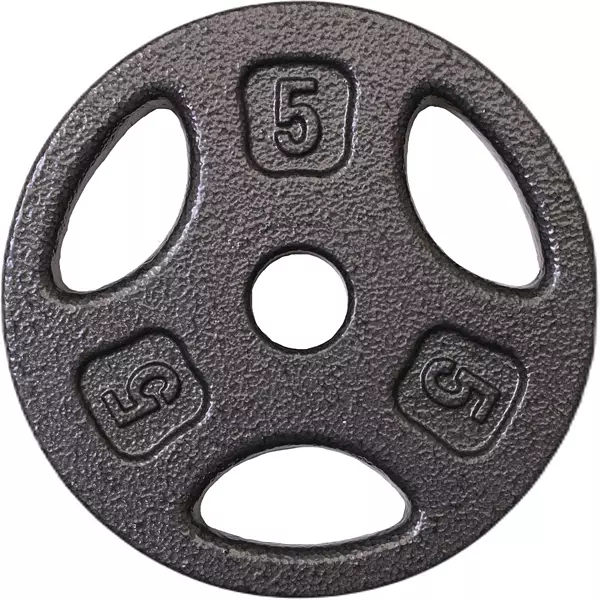 Fitness Gear Standard Cast Plate - Single