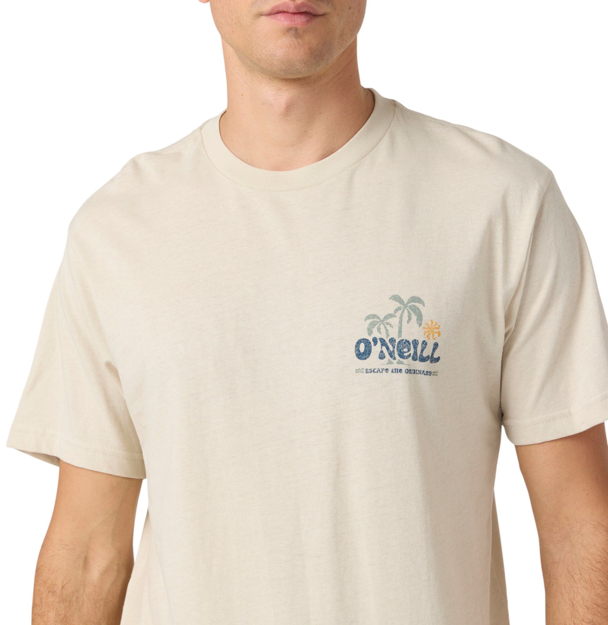 O'Neill Men's Loose Short Sleeve T-Shirt product image