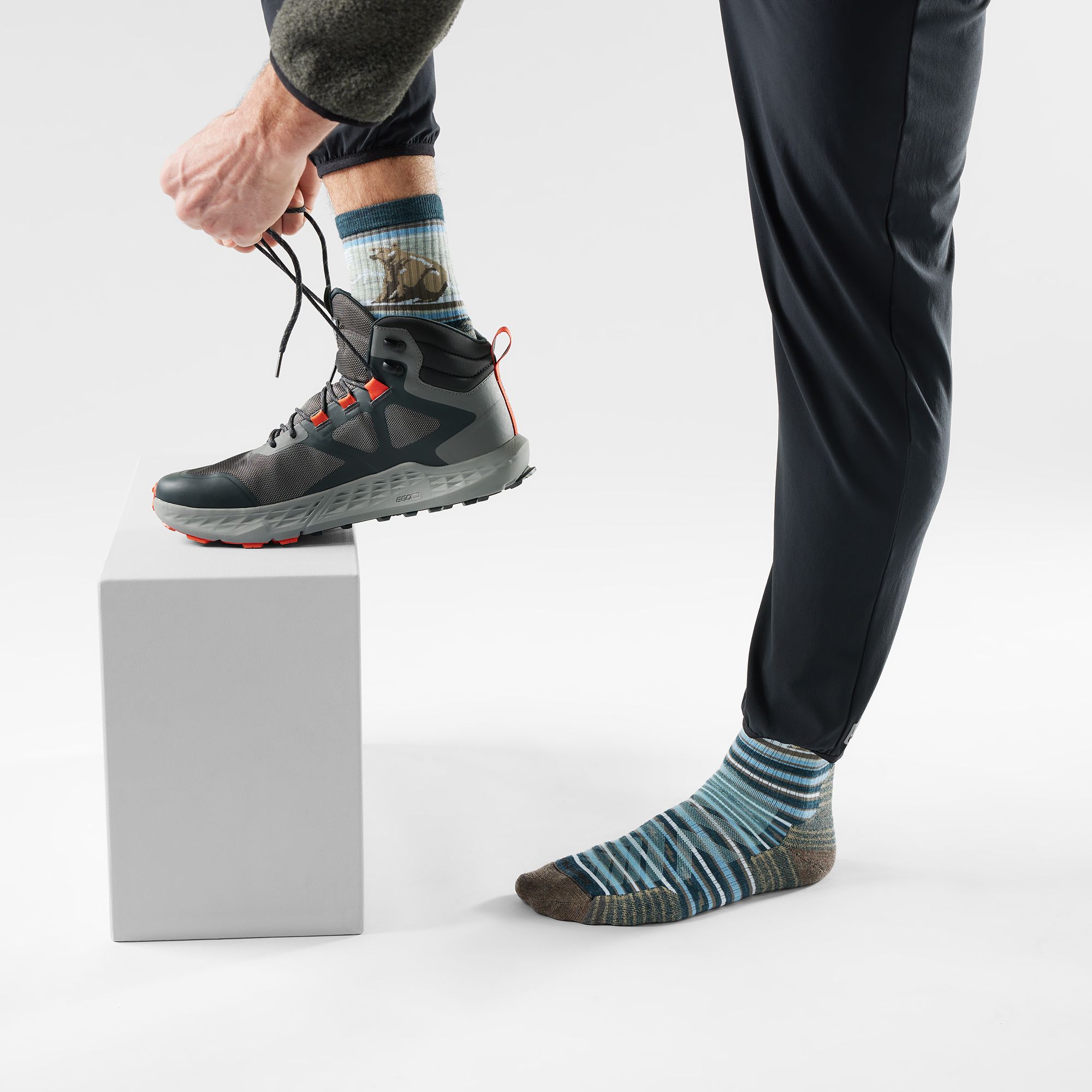 Smartwool Hike Bear Stripe Mid Crew Socks product image