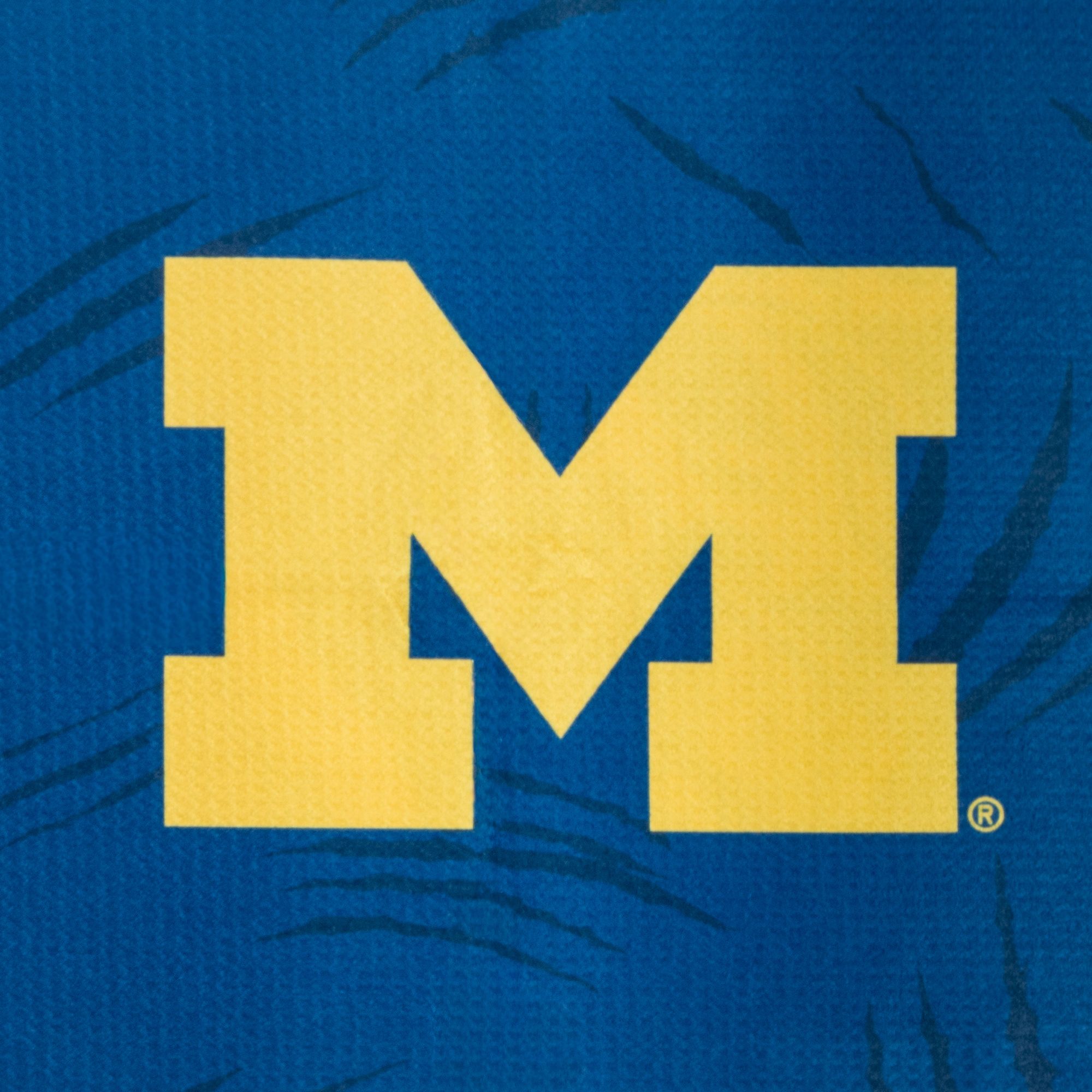 SWAG Athletic Michigan Wolverines Towel product image