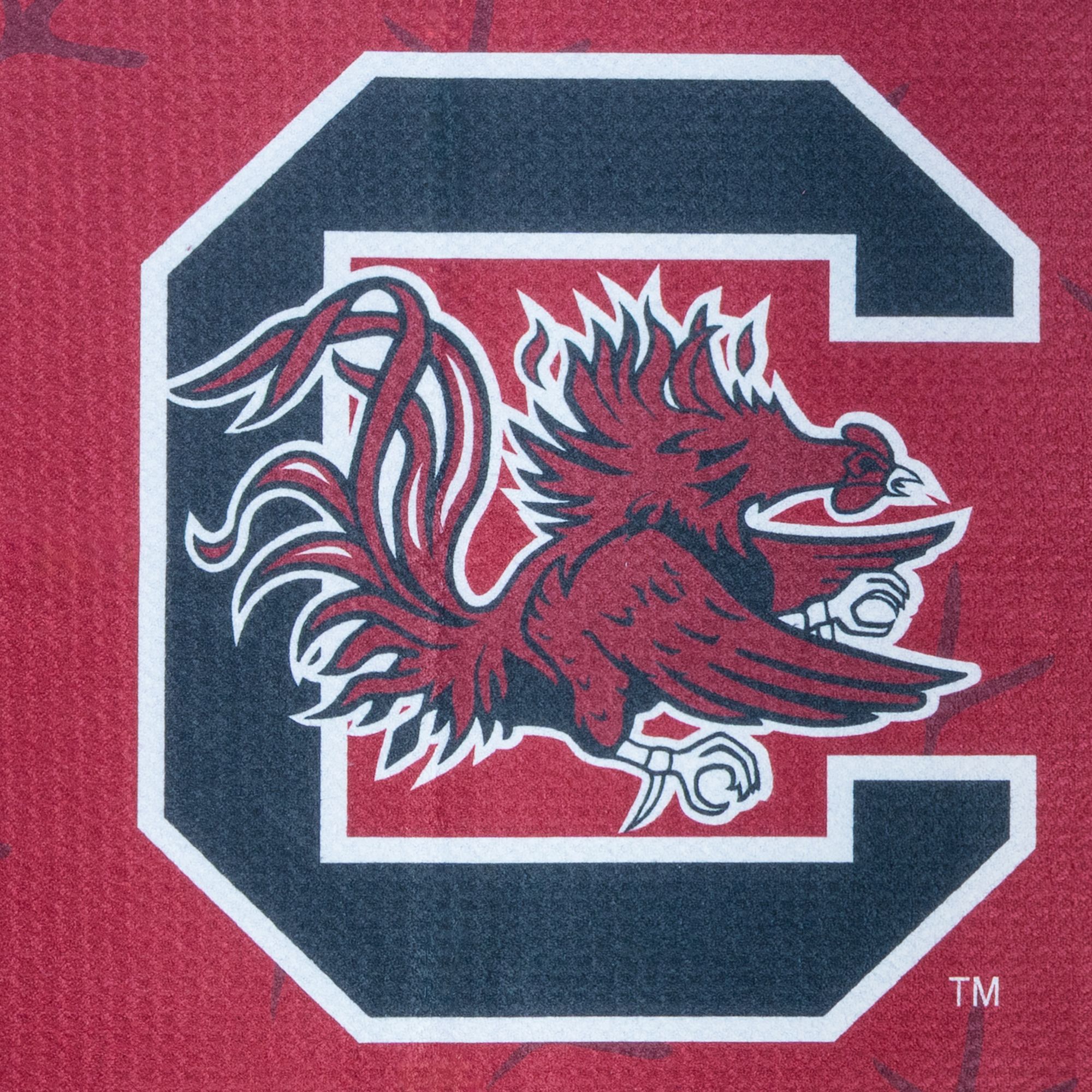 SWAG Athletic South Carolina Gamecocks Towel product image
