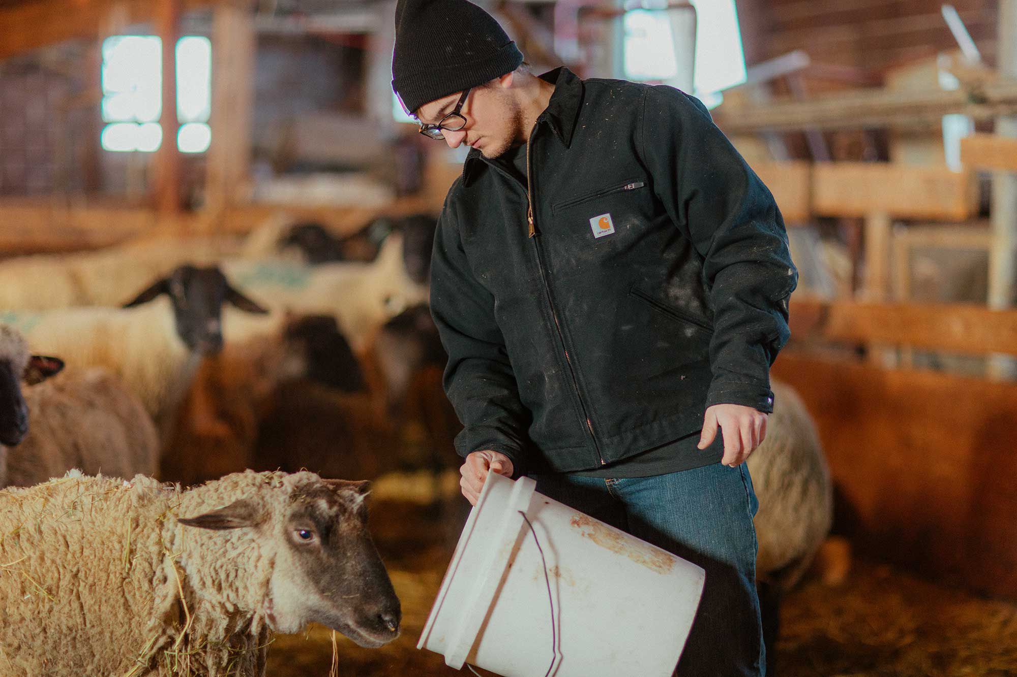 Carhartt Men's Washed Duck Detroit Jacket product image