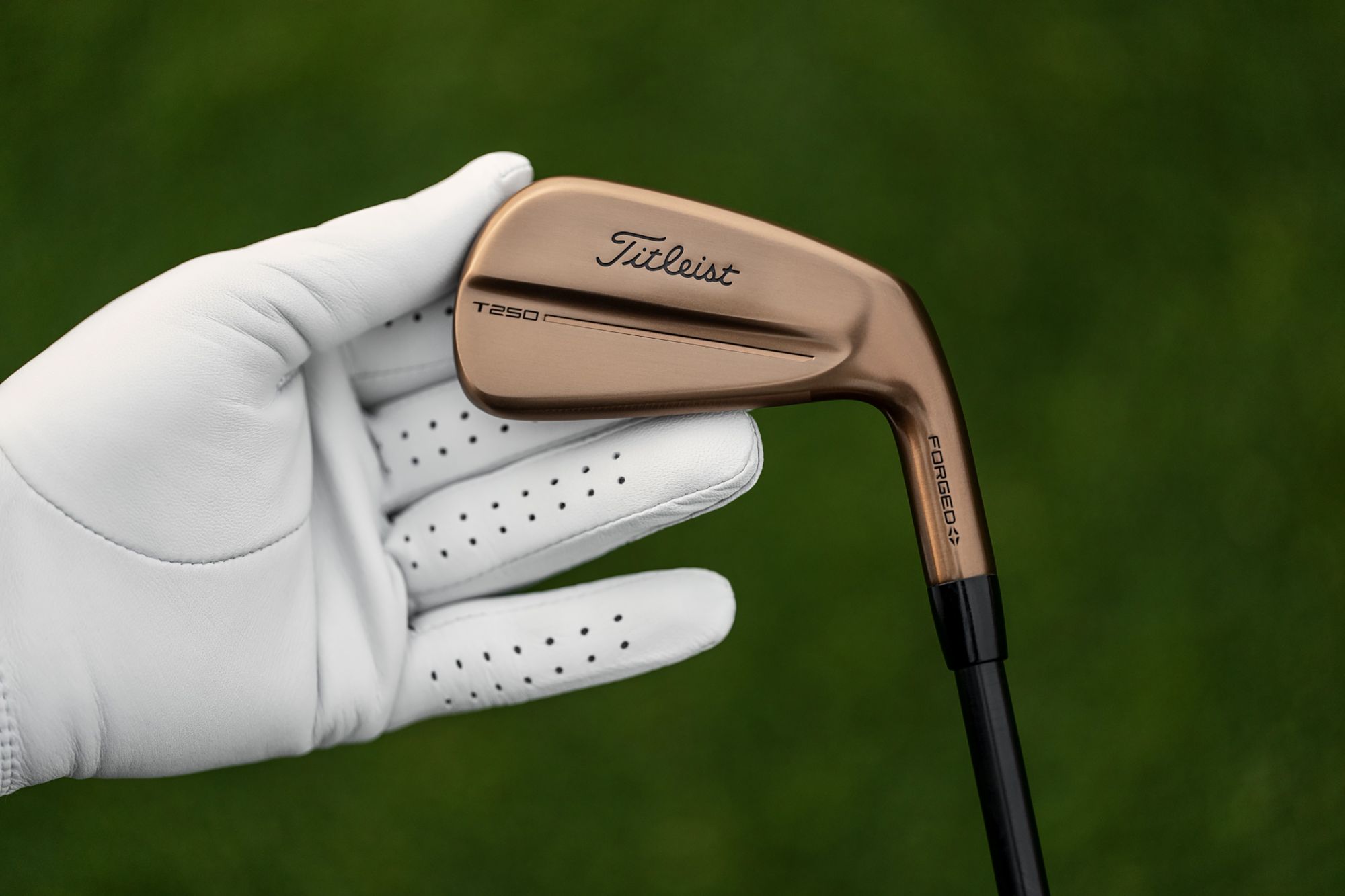 Titleist T250 Oil Can Custom Irons product image