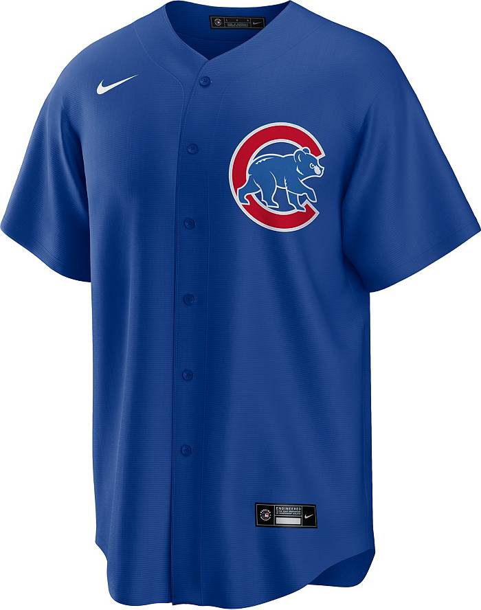 Nike Men's Chicago Cubs Cooperstown Ernie Banks #14 White Cool Base Jersey