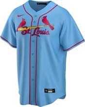 Framed Paul Goldschmidt St. Louis Cardinals Light Blue Nike Authentic  Jersey with 22 NL MVP Inscription
