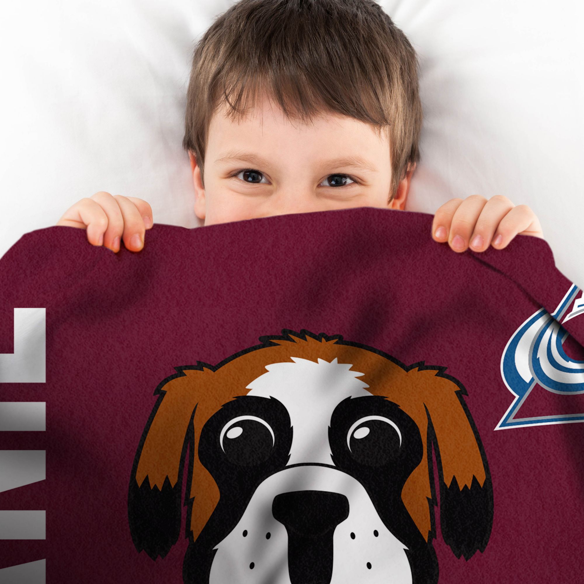 Uncanny Brands Colorado Avalanche Bernie Blanket product image