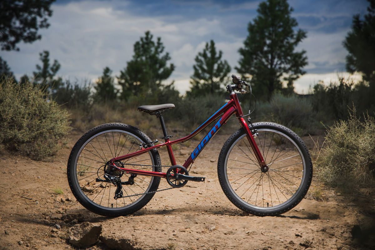 Giant Youth Talon 24” Lite Mountain Bike product image