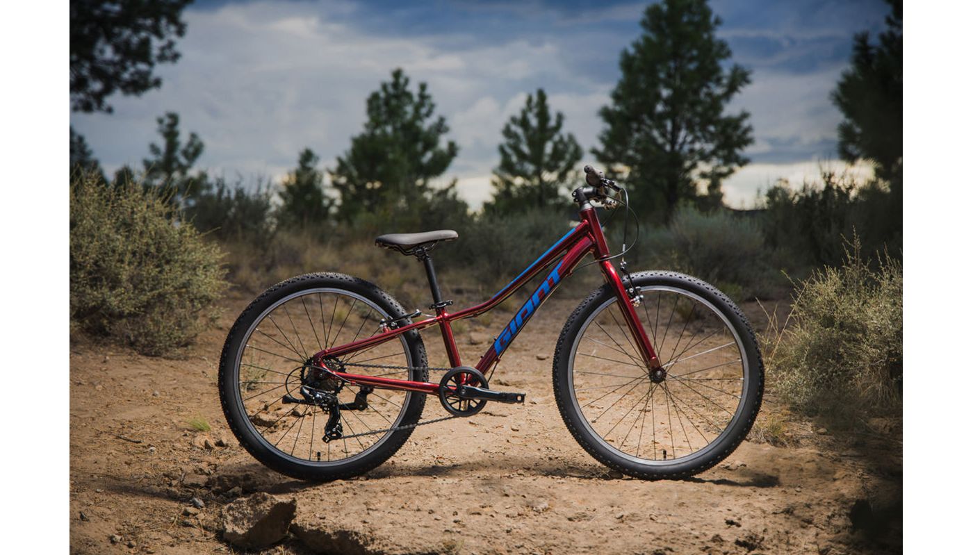 Giant Youth Talon 24 Lite Mountain Bike
