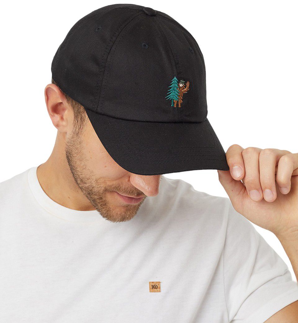 tentree Sasquatch Peak Hat product image