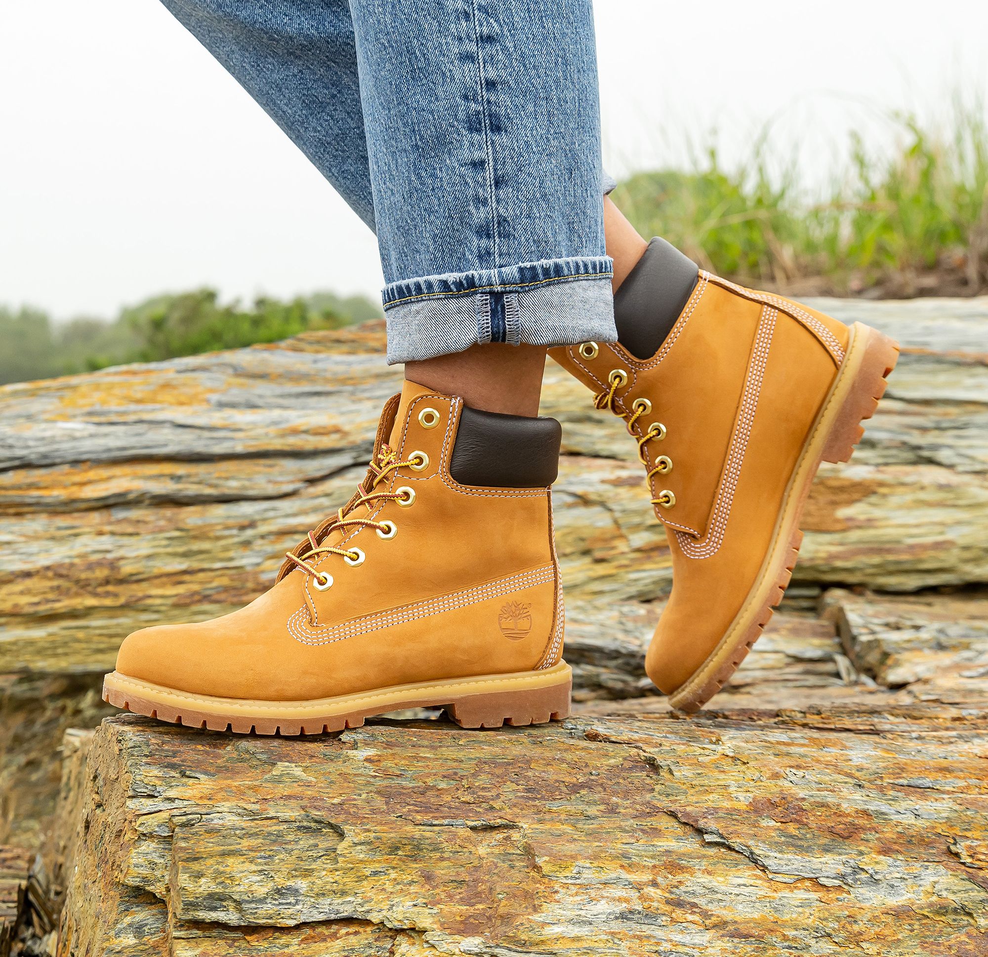 Timberland Women's Premium 6-Inch Boot product image