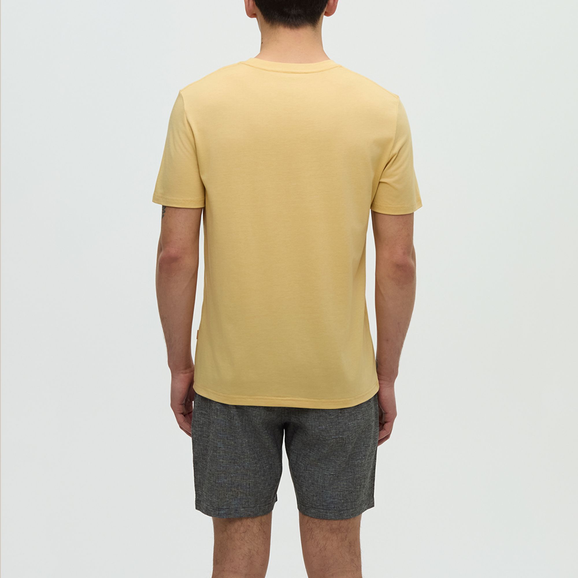 tentree Men's TreeBlend Classic T-Shirt product image