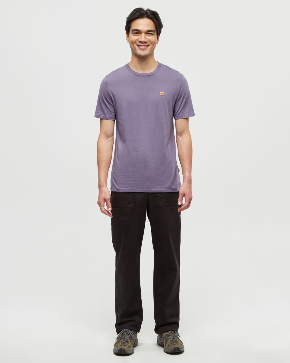 tentree Men's TreeBlend Classic T-Shirt product image