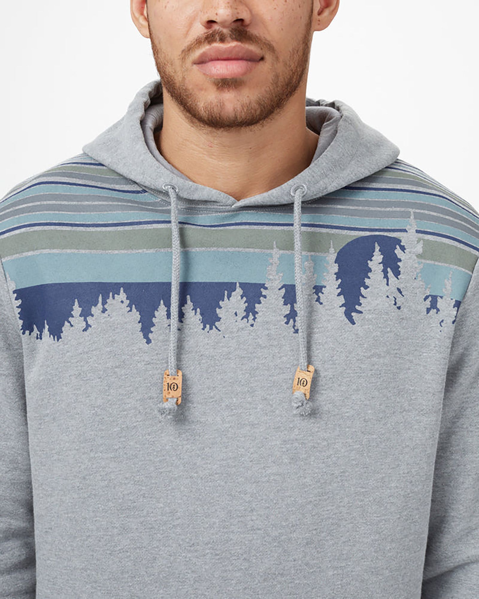 tentree Men's Retro Juniper Hoodie product image