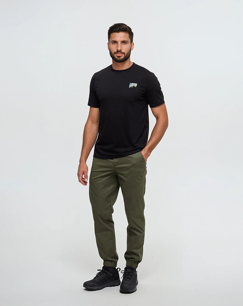 tentree Men's Northern Aurora T-Shirt product image