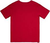 Mitchell & Ness Men's Tuskegee Golden Tigers Crimson Legendary Color Blocked T-Shirt product image