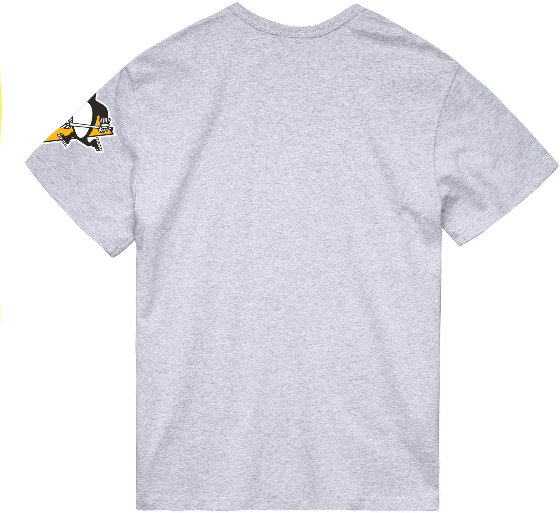 Mitchell & Ness Pittsburgh Penguins All Current Grey T-Shirt