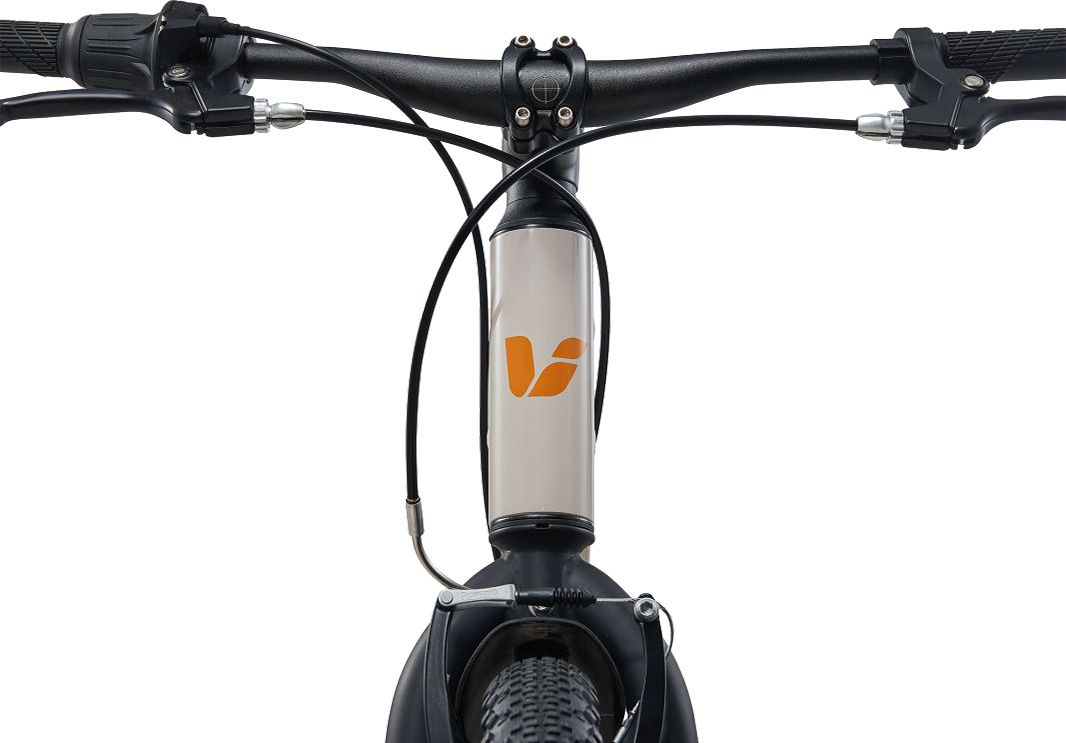 Liv Cycling Youth Tempt 24” Lite Mountain Bike product image