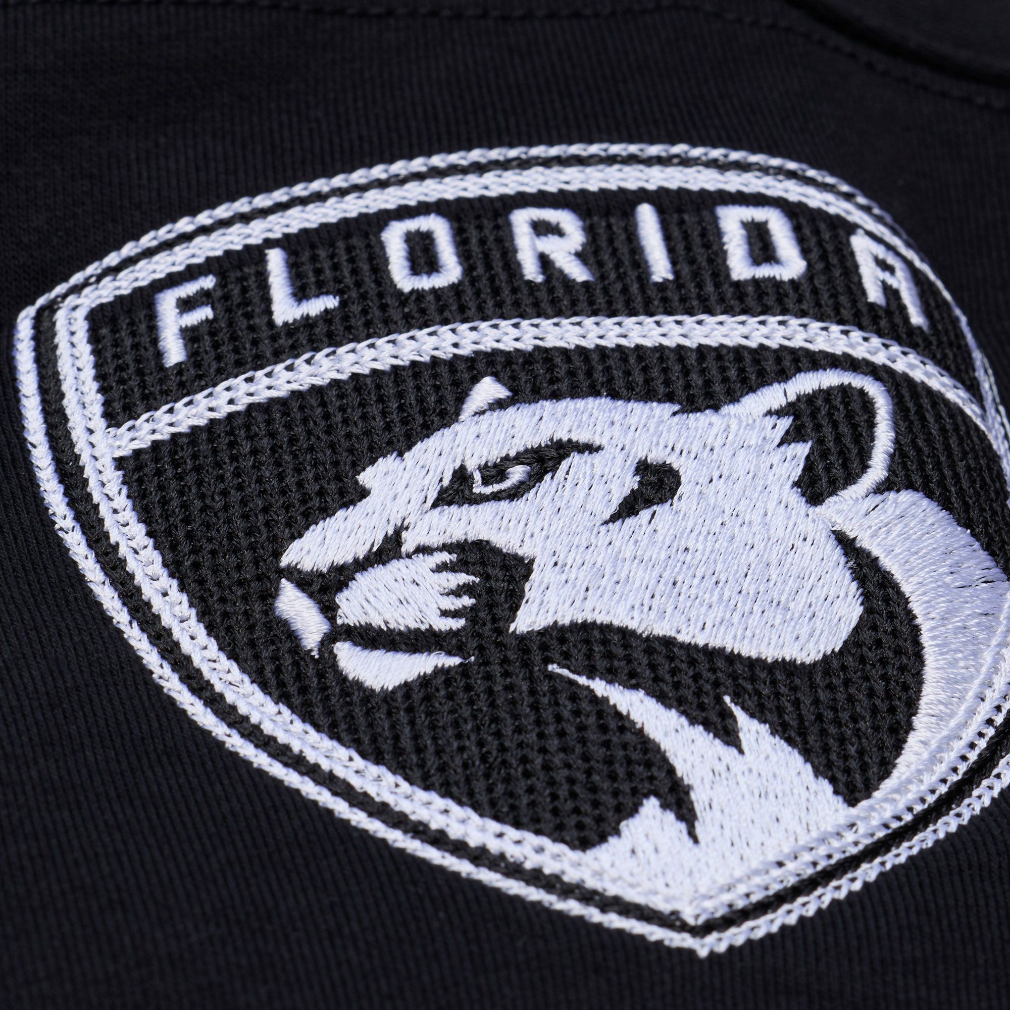Mitchell & Ness Women's Florida Panthers Black Coach Pullover Hoodie product image