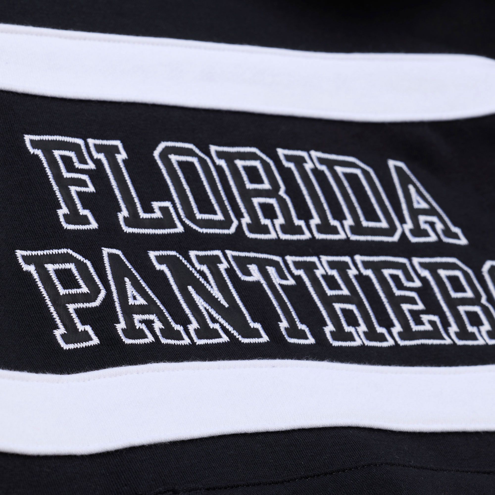 Mitchell & Ness Women's Florida Panthers Black Coach Pullover Hoodie product image