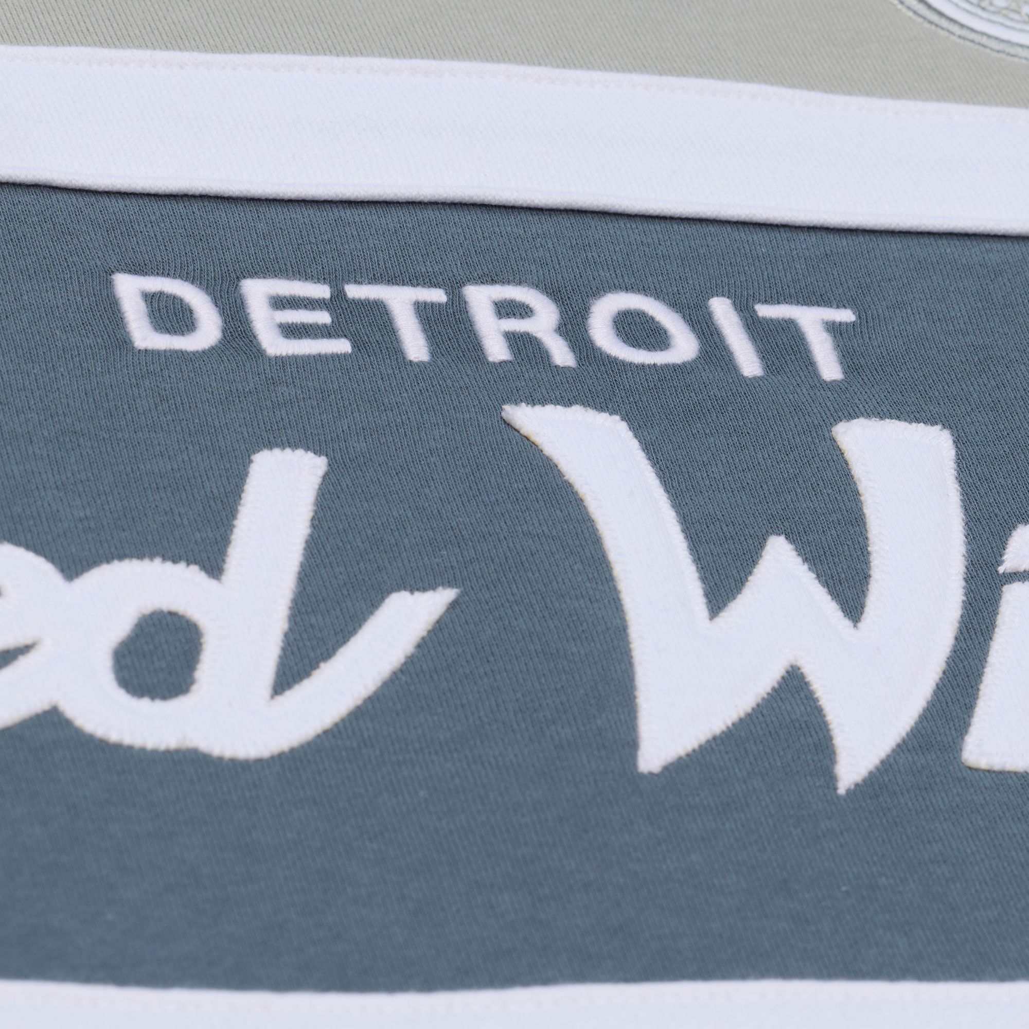 Mitchell & Ness Men's Detroit Red Wings Light Grey Head Coach Pullover Hoodie product image