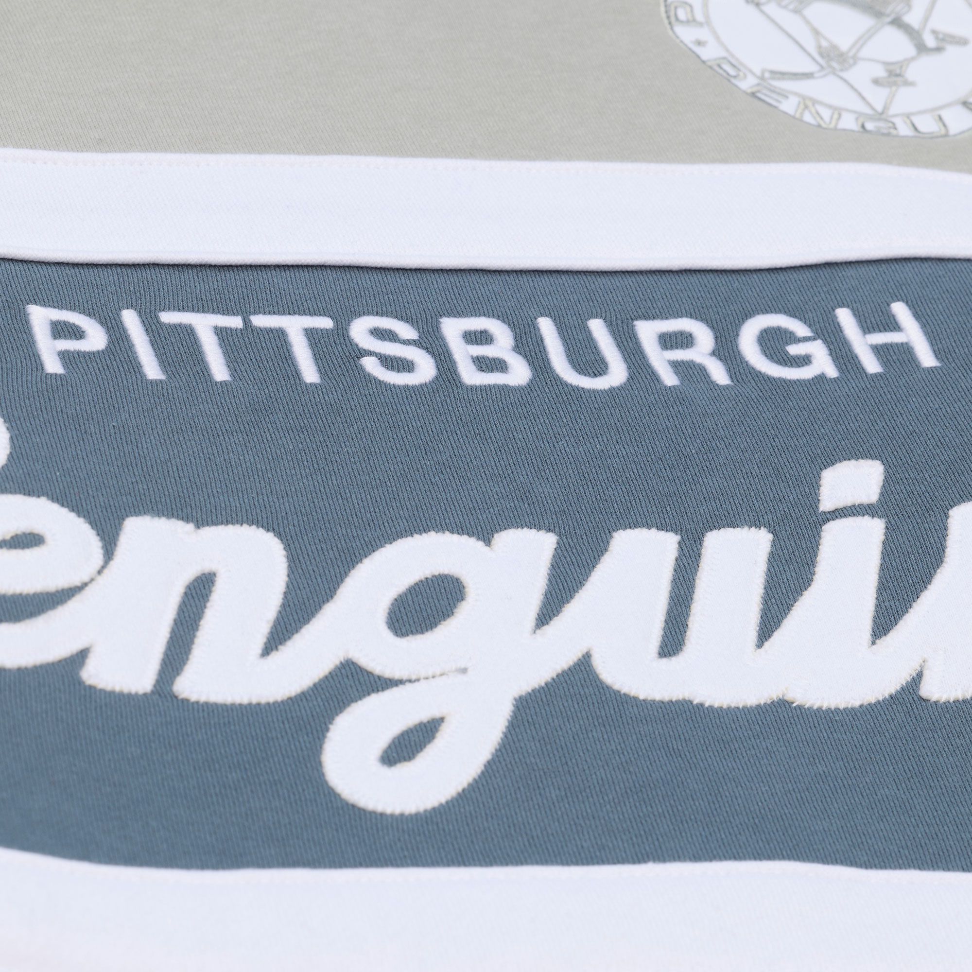 Mitchell & Ness Men's Pittsburgh Penguins Light Grey Head Coach Pullover Hoodie product image