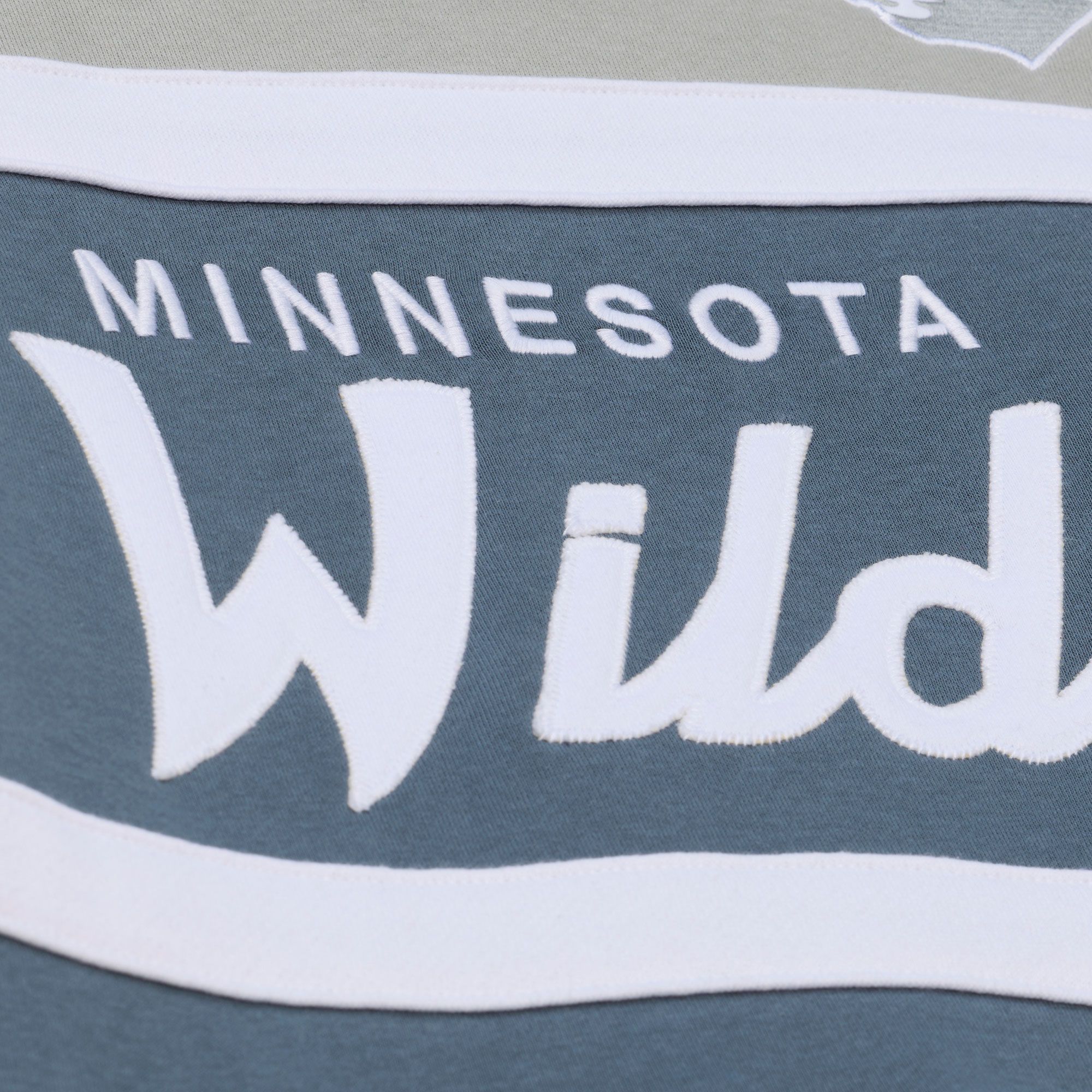 Mitchell & Ness Men's Minnesota Wild Light Grey Head Coach Pullover Hoodie product image