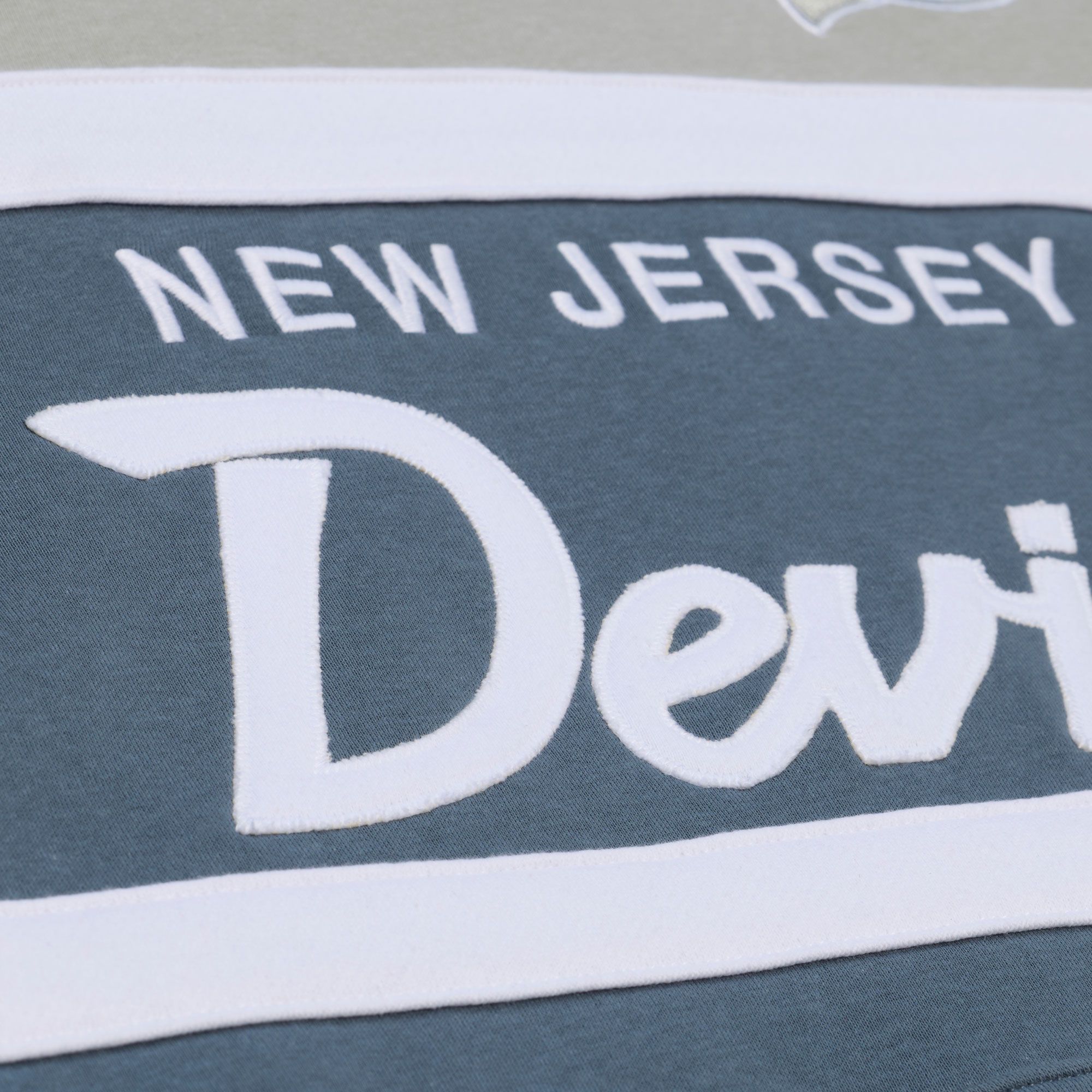 Mitchell & Ness Men's New Jersey Devils Light Grey Head Coach Pullover Hoodie product image